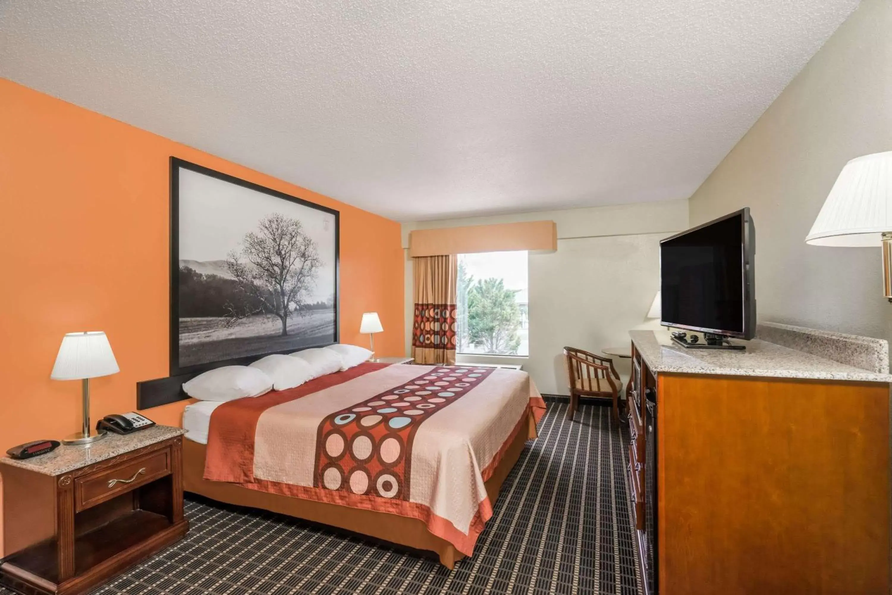 Photo of the whole room, Bed in Super 8 by Wyndham Dandridge