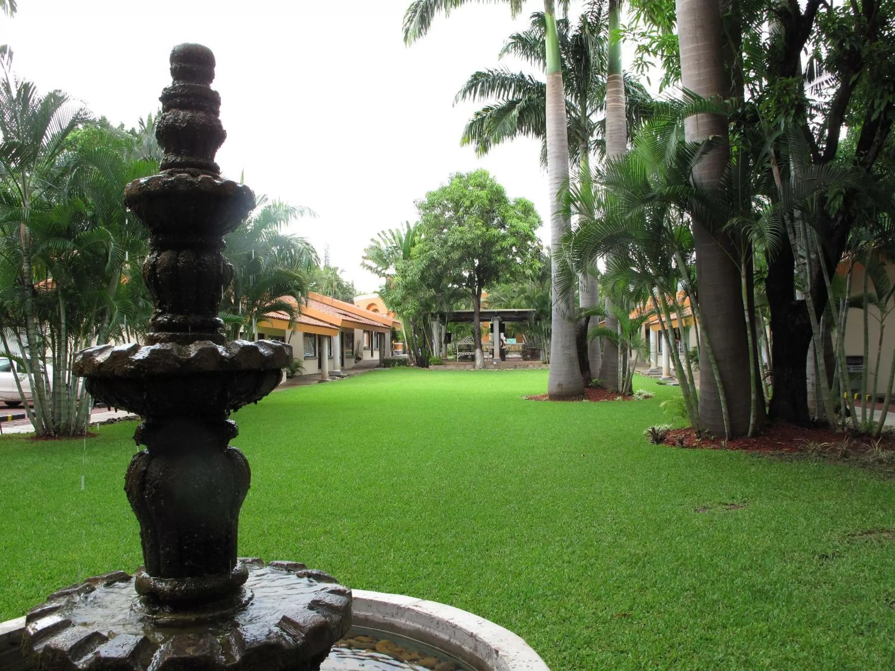 Garden in Hotel Palmareca