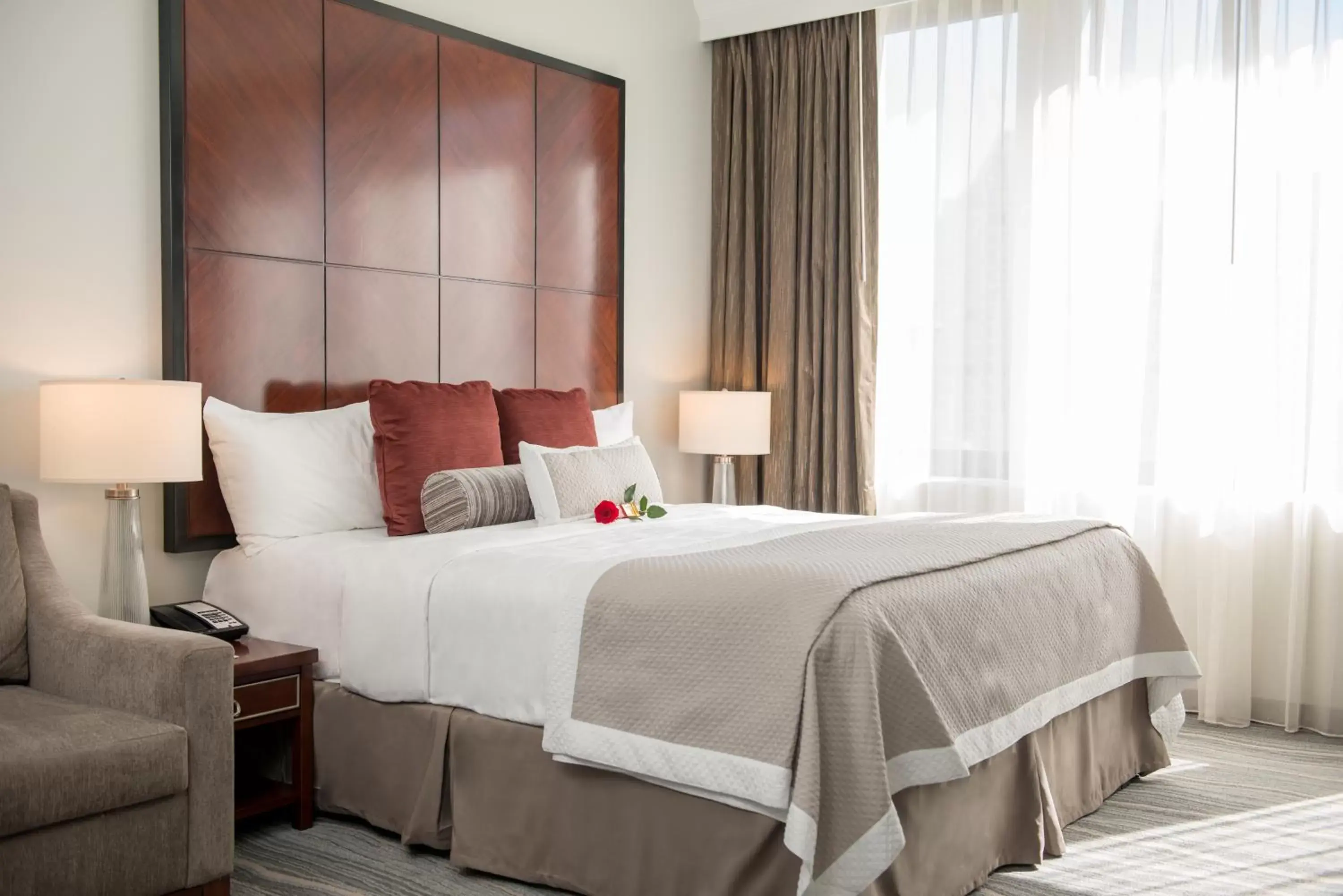 Bed in Club Donatello Bed in Club Donatello