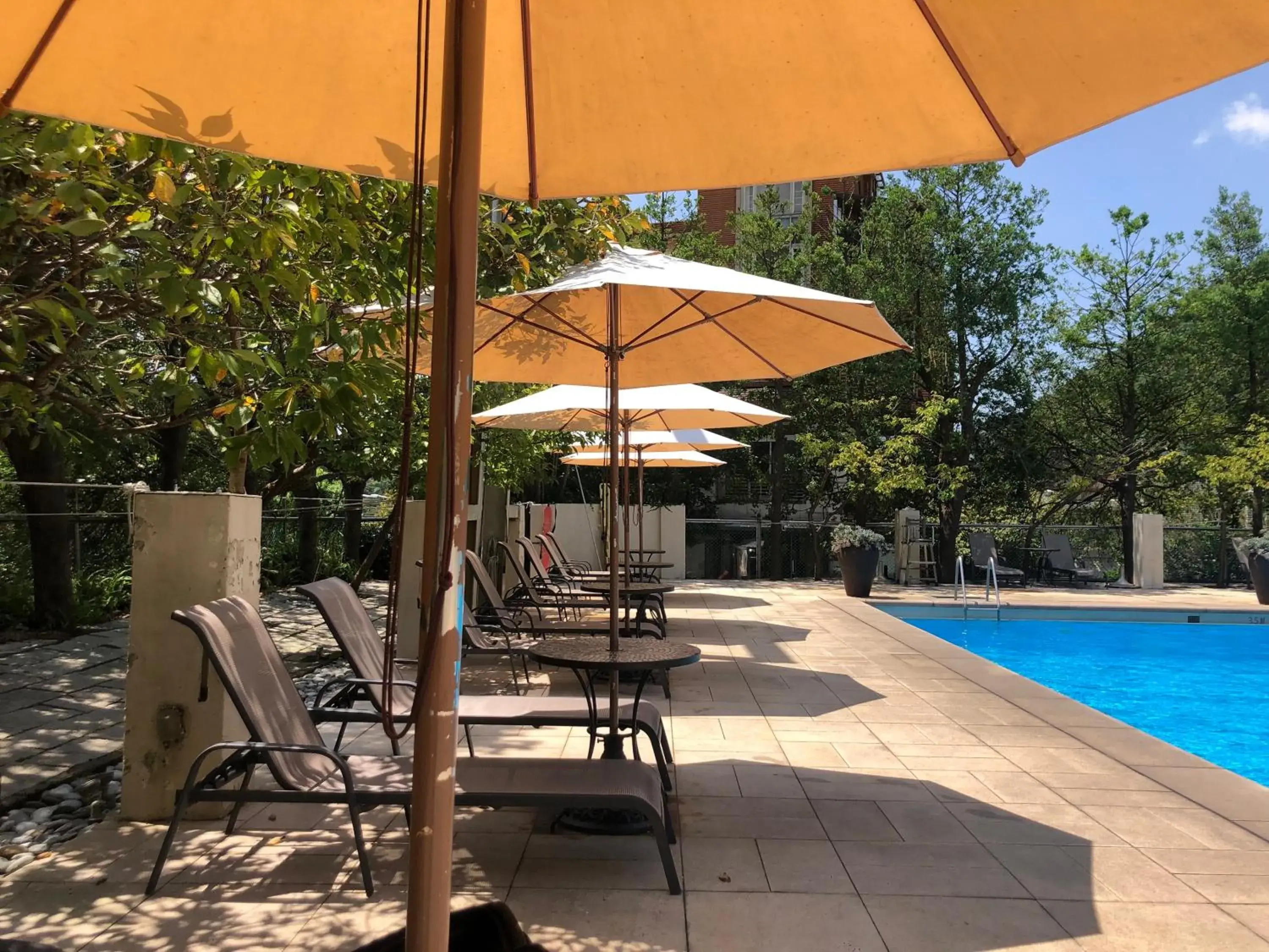 Pool view, Swimming Pool in Landis Resort Yangmingshan