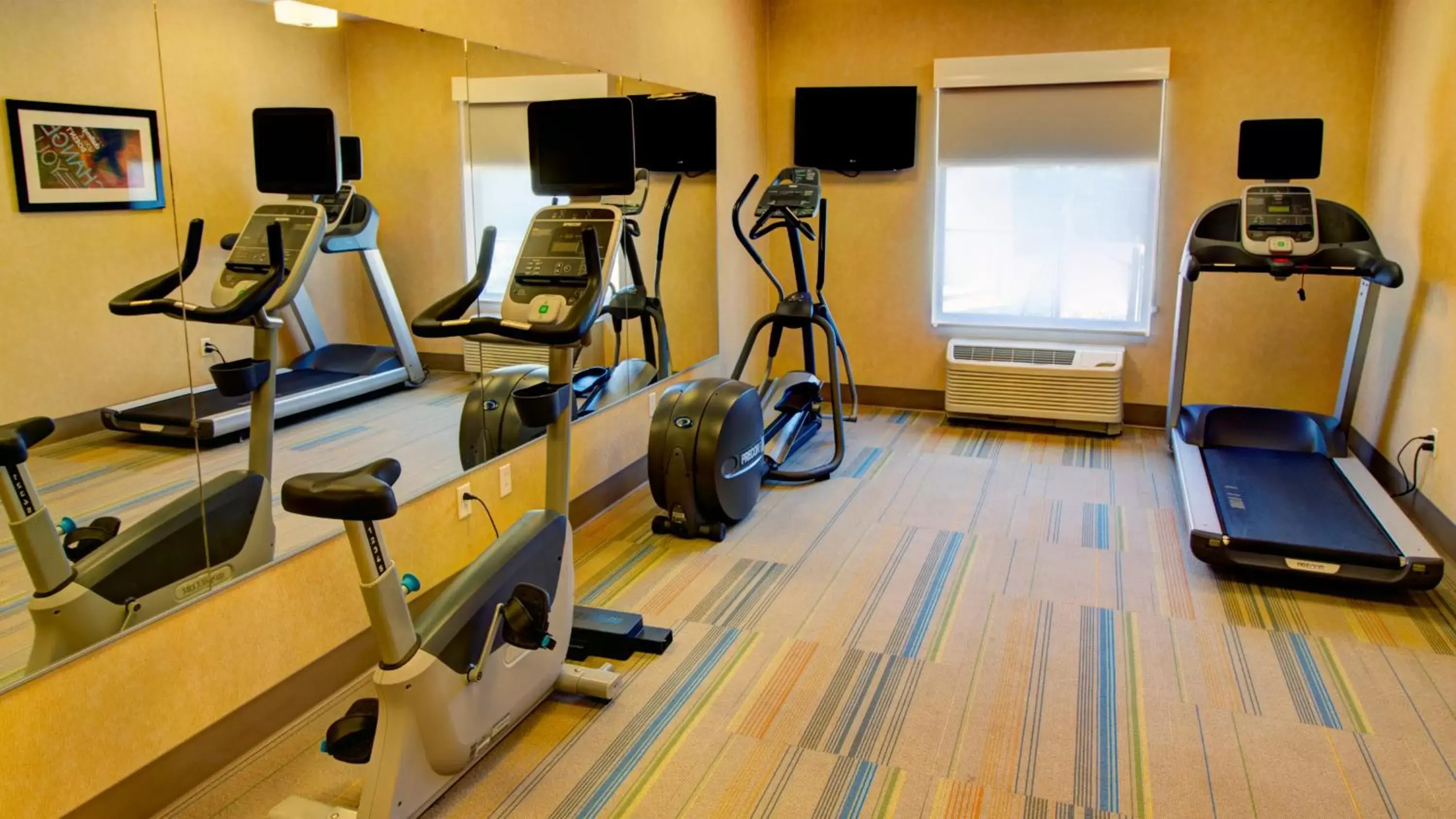 Fitness centre/facilities, Fitness Center/Facilities in Holiday Inn Express & Suites Sioux City-South, an IHG Hotel