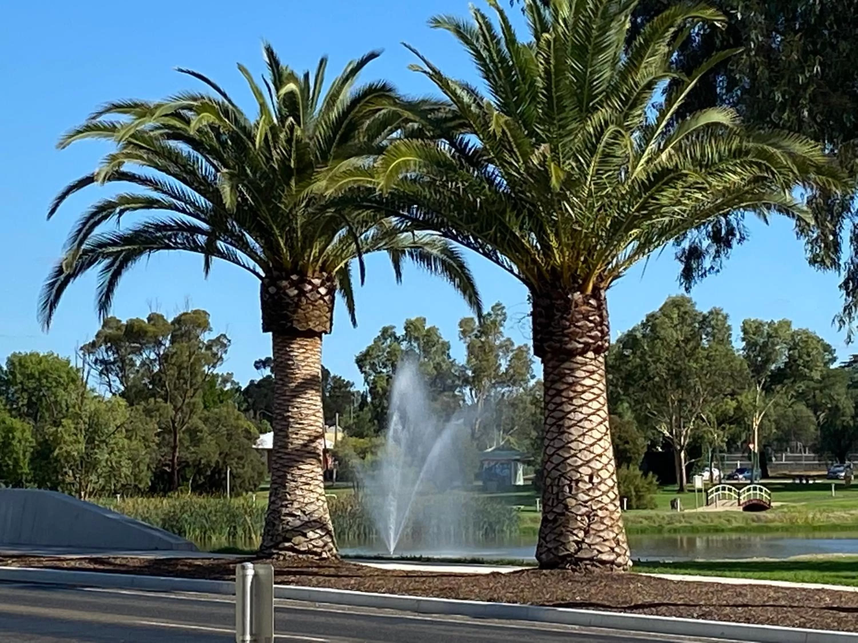 Area and facilities in Ben Hall Motor Inn