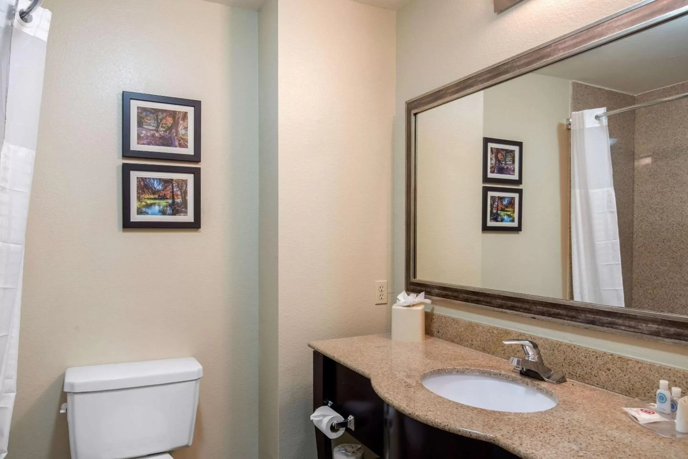 Bathroom in Comfort Inn & Suites Cedar Hill Duncanville