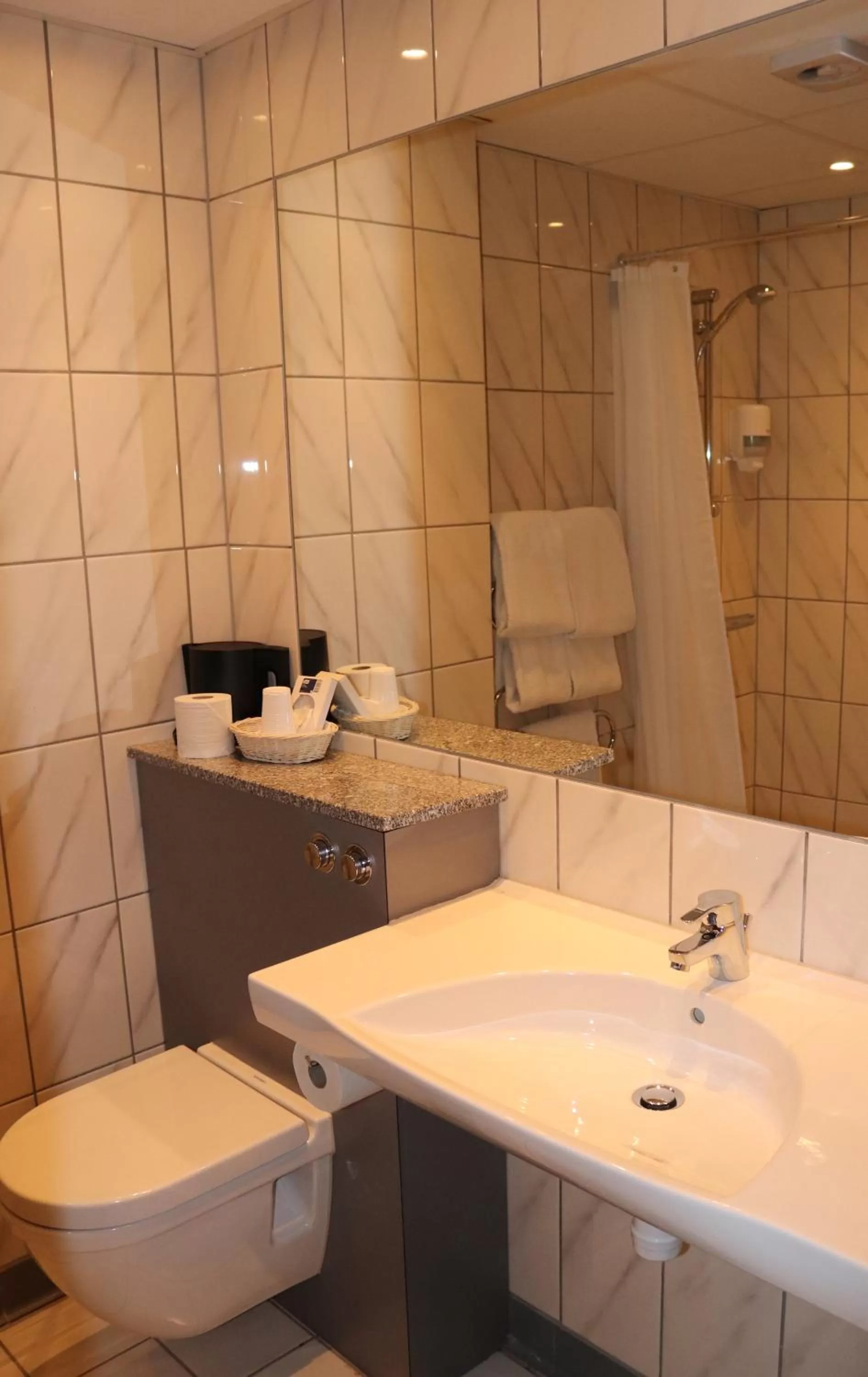 Toilet in Taastrup Park Hotel