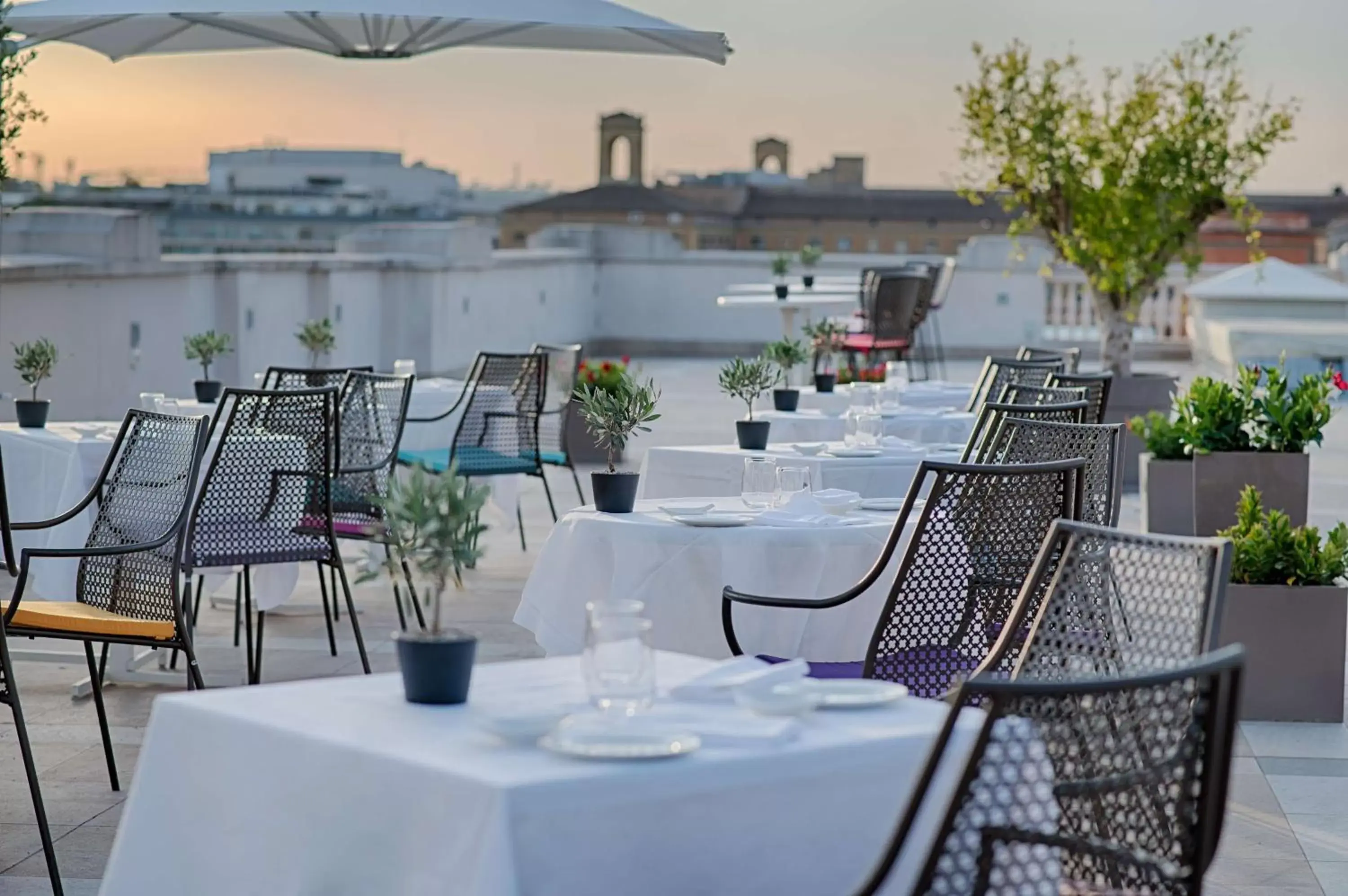 Activities, Restaurant/Places to Eat in NH Collection Palazzo Cinquecento