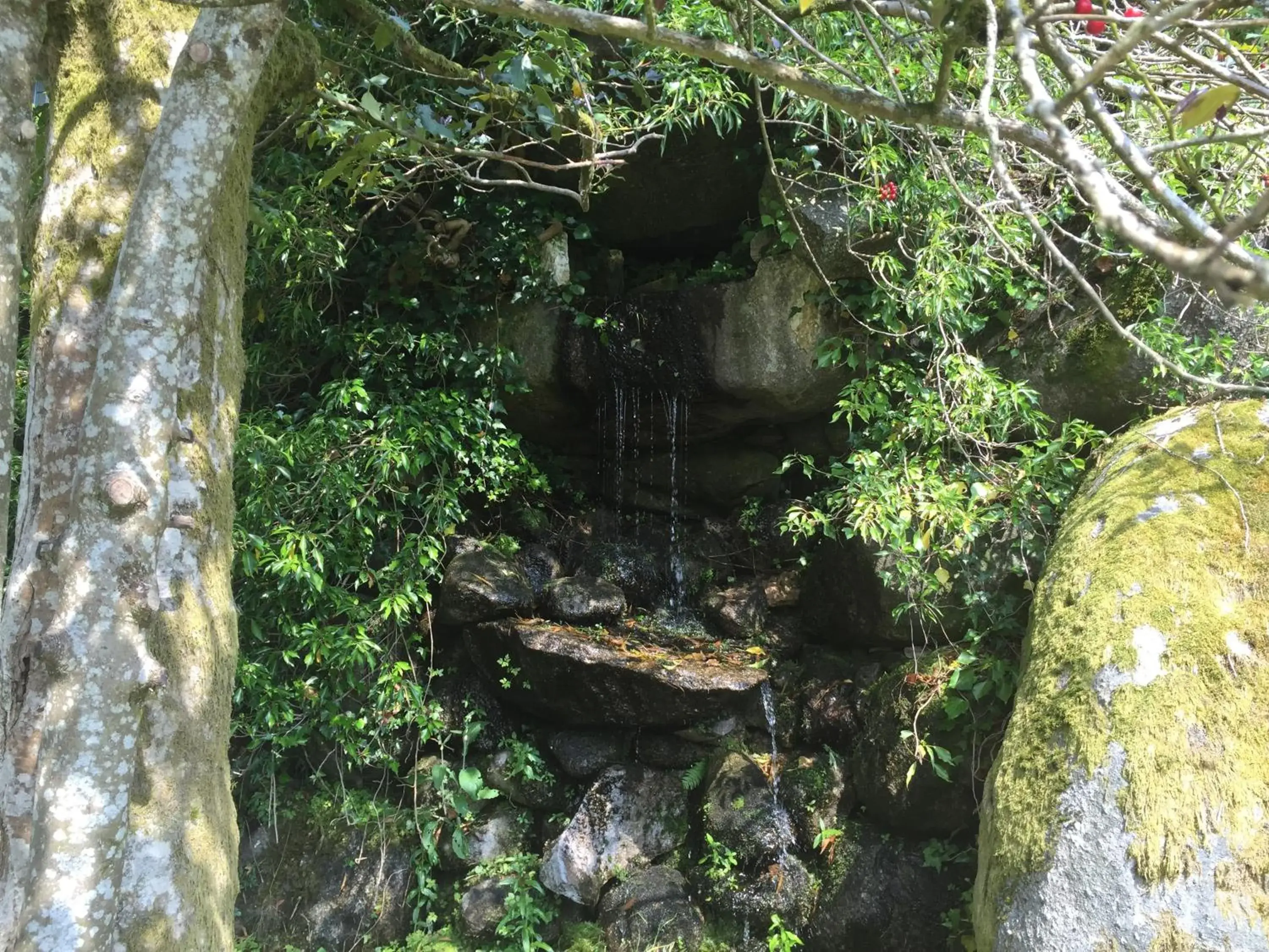 Garden, Other Animals in Le Manoir Au Lac