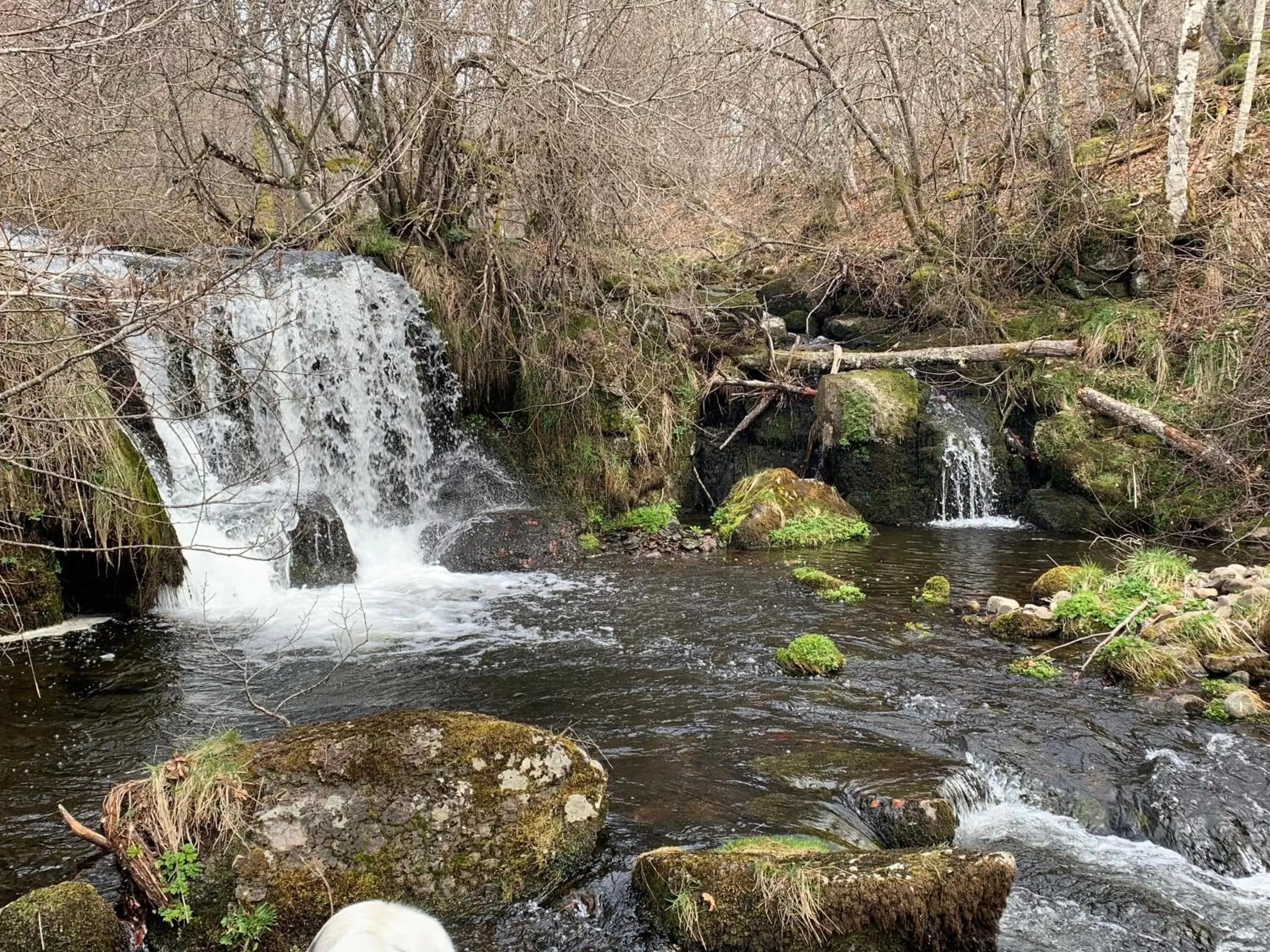 River view, Natural Landscape in Chambres et table d'hôtes Le Lepadou-Bas