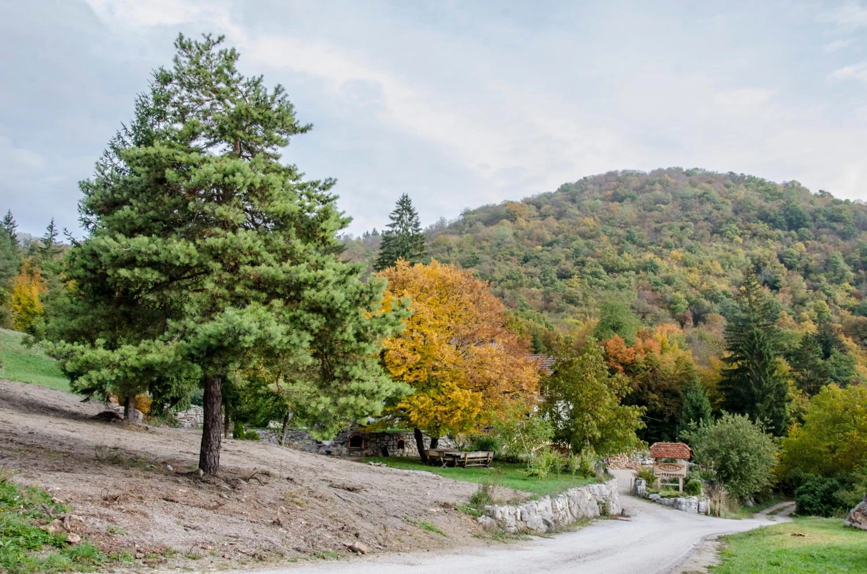 Area and facilities in Miškar Rooms