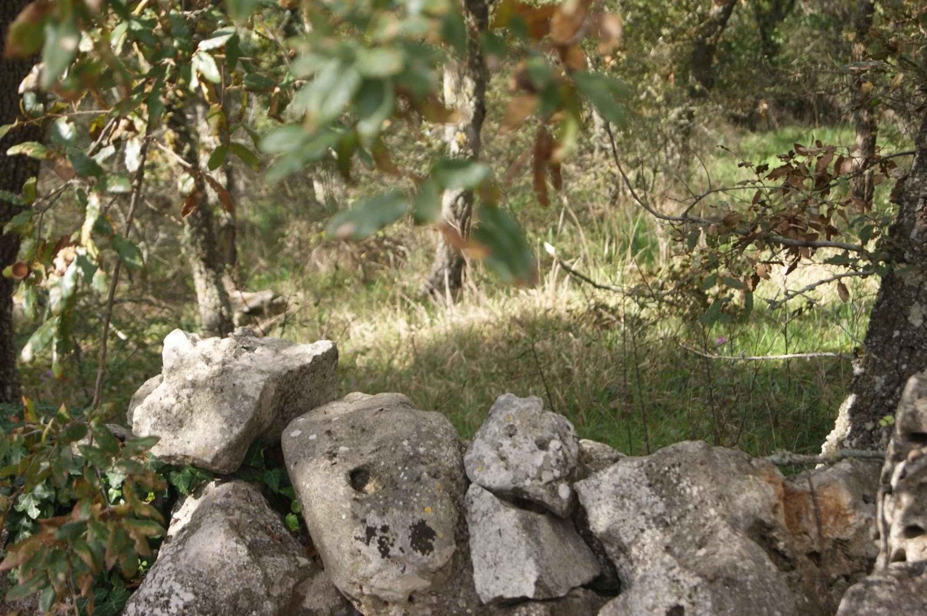 Natural Landscape in Arome B&B
