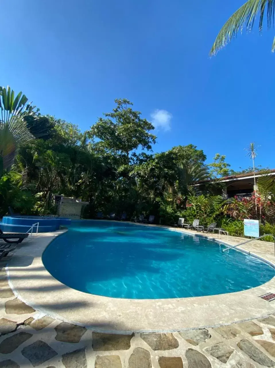 Swimming Pool in Hotel Playa Westfalia