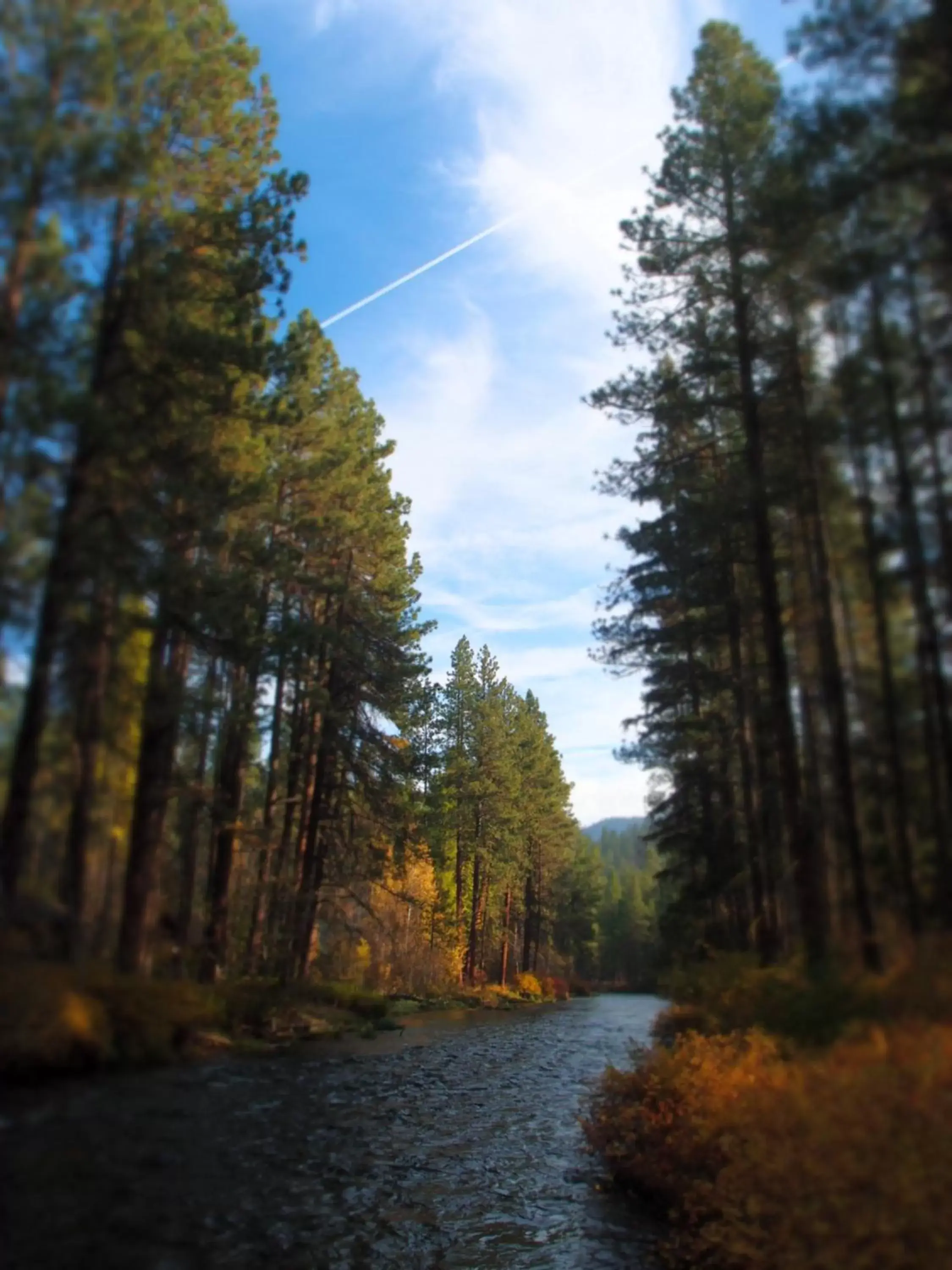 Natural landscape in Cold Springs Resort