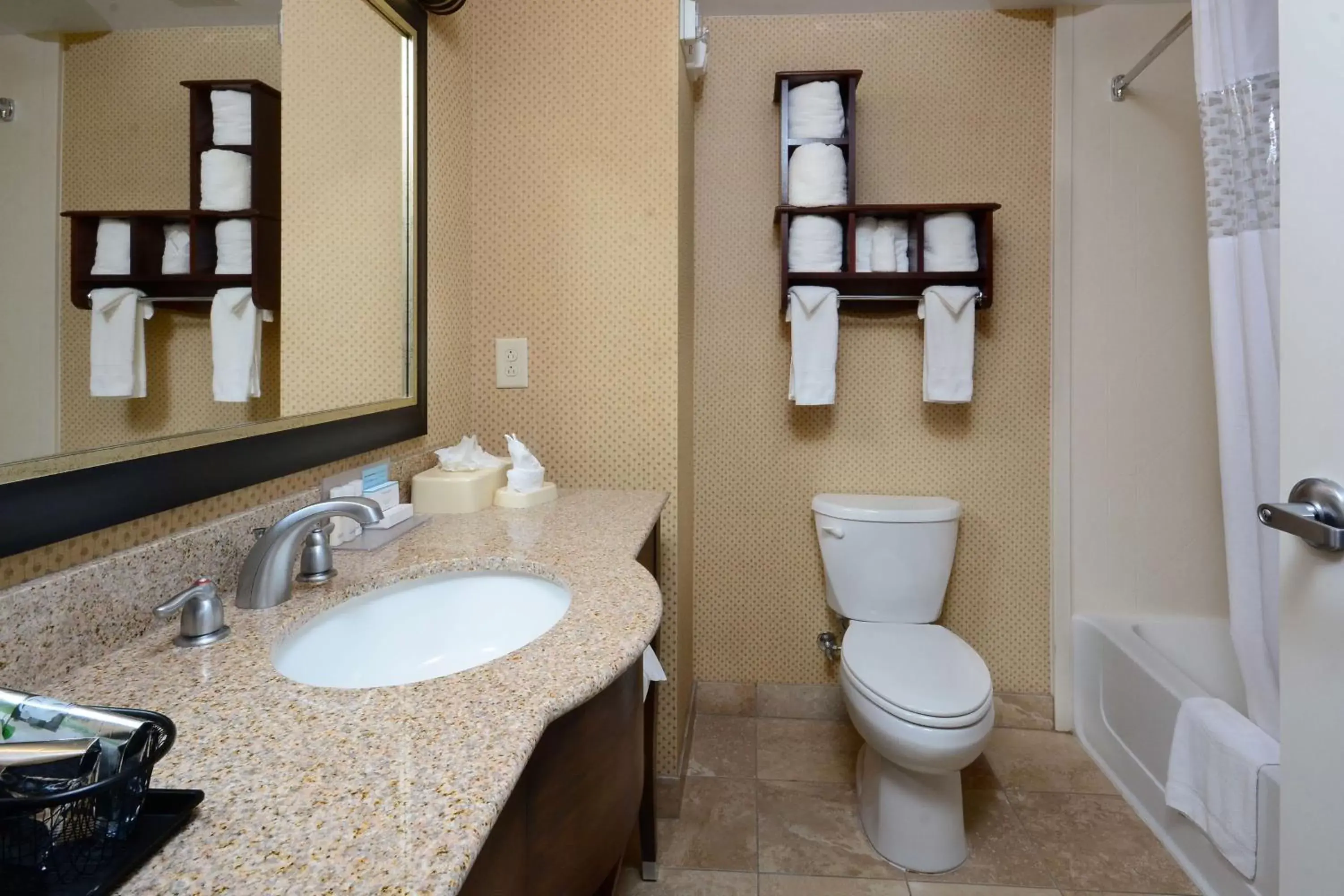 Bathroom in Hampton Inn & Suites Durham North I-85