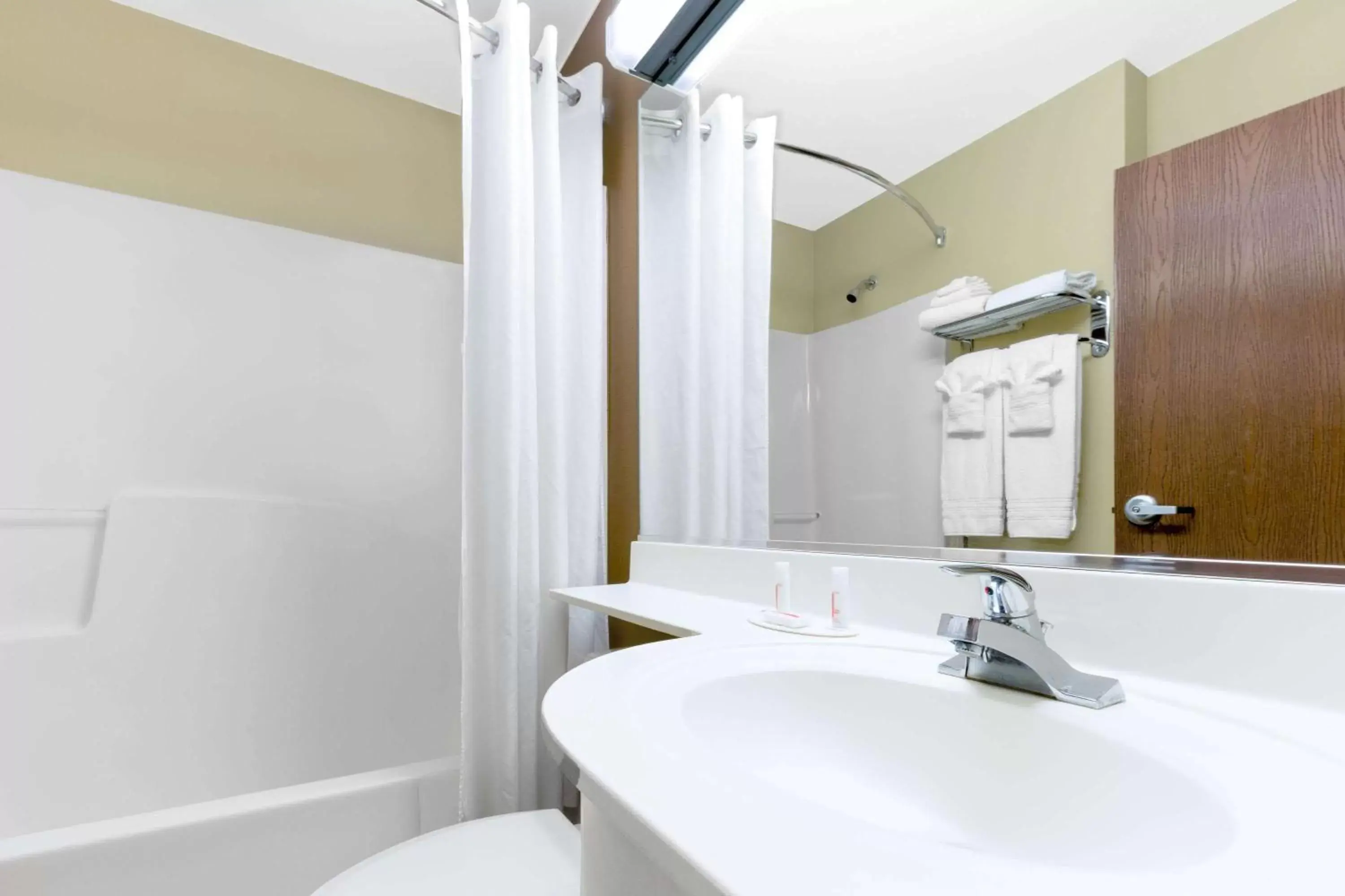 Bathroom in Microtel Inn & Suites by Wyndham Ozark
