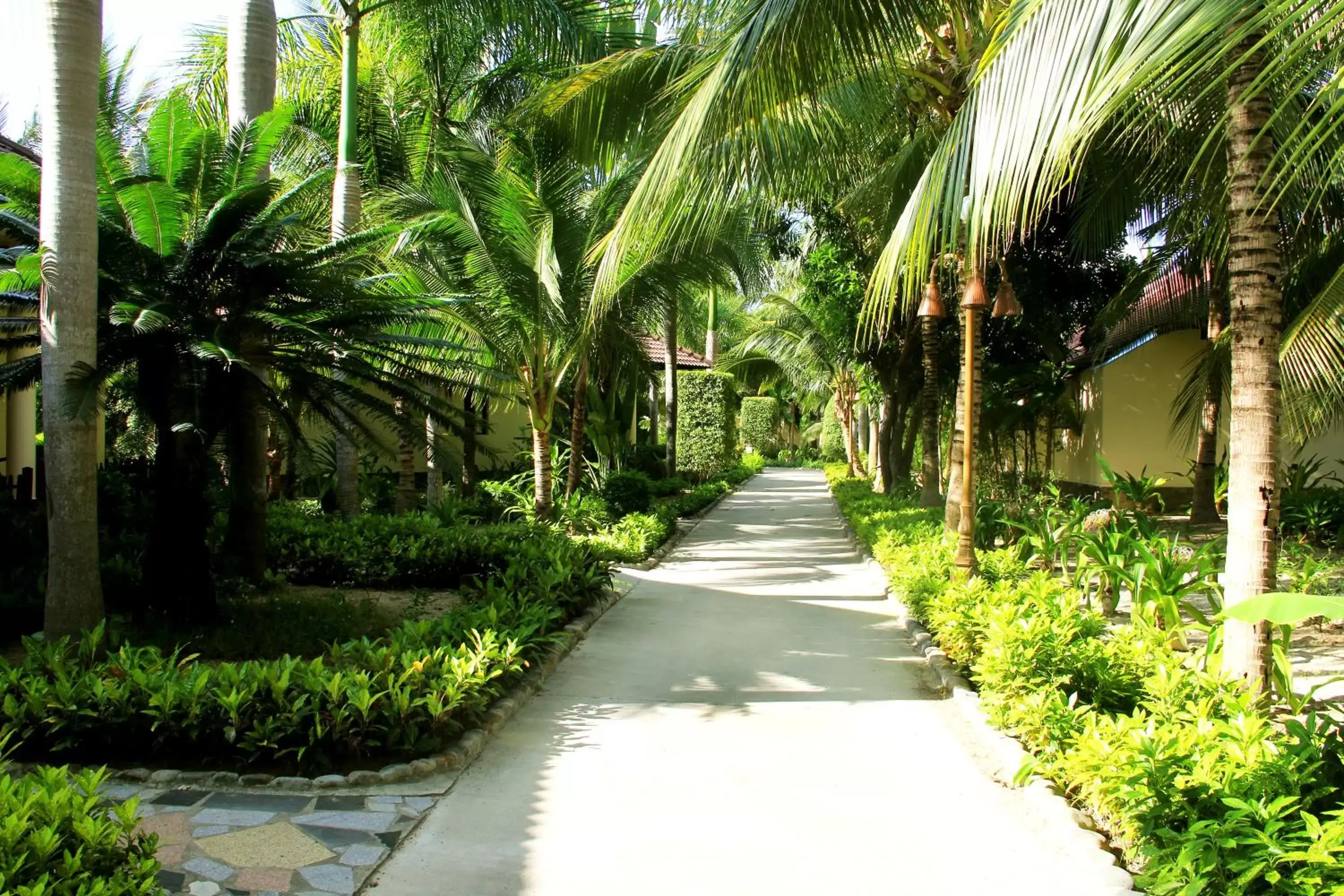 Garden in Diamond Bay Resort & Spa