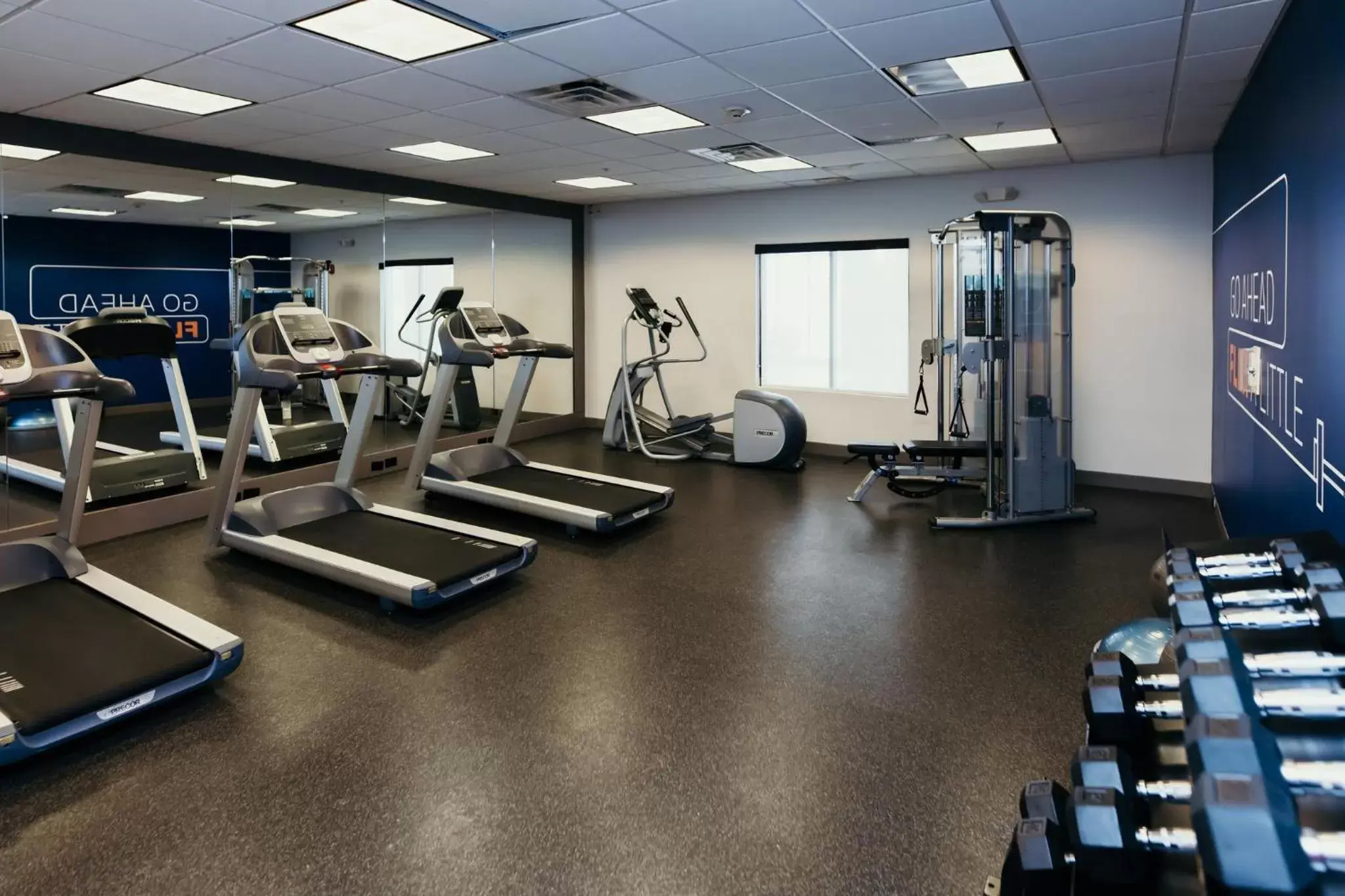 Fitness centre/facilities, Fitness Center/Facilities in Holiday Inn Express and Suites Urbandale Des Moines, an IHG Hotel