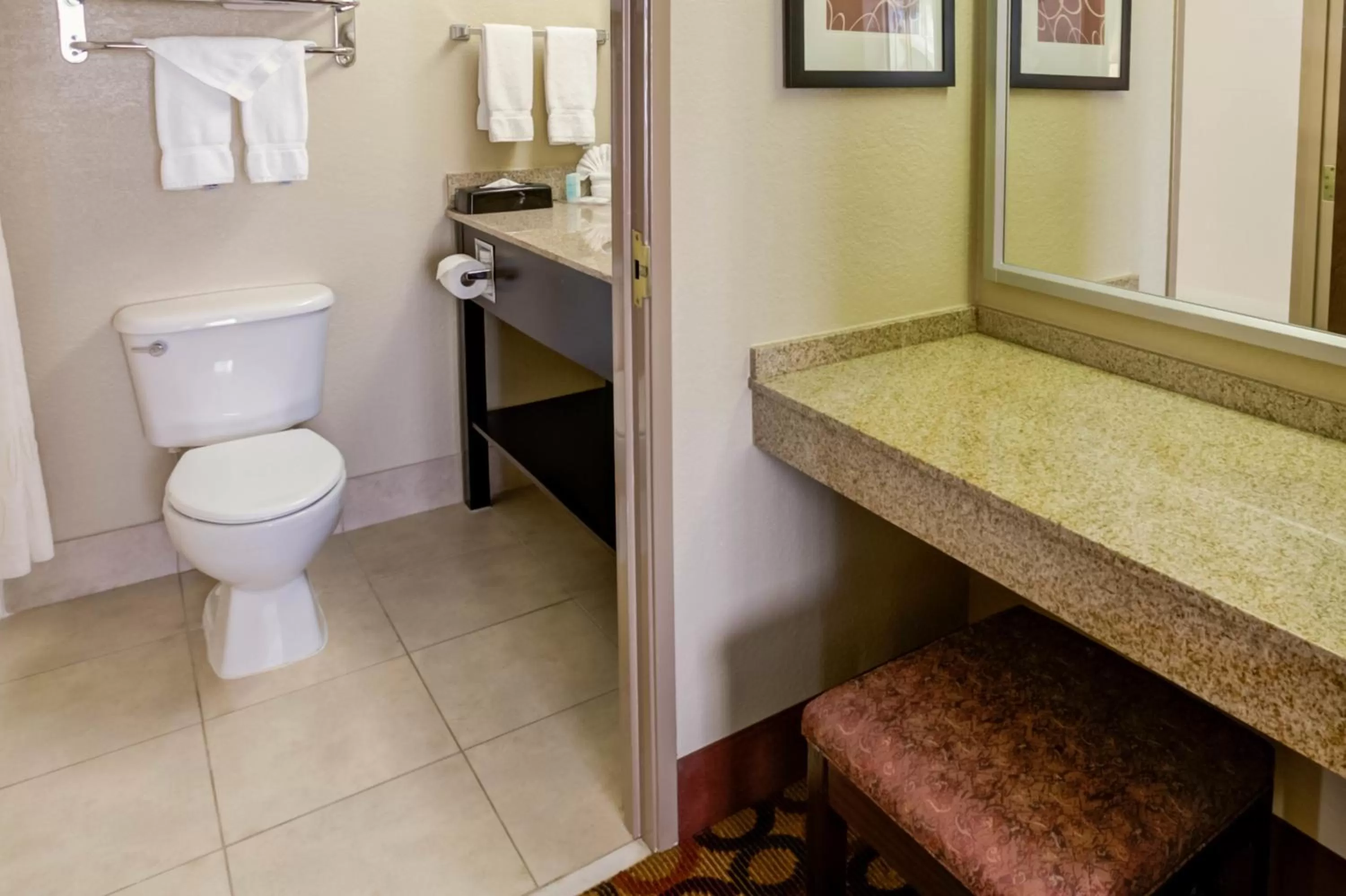 Toilet in Comfort Suites Airport