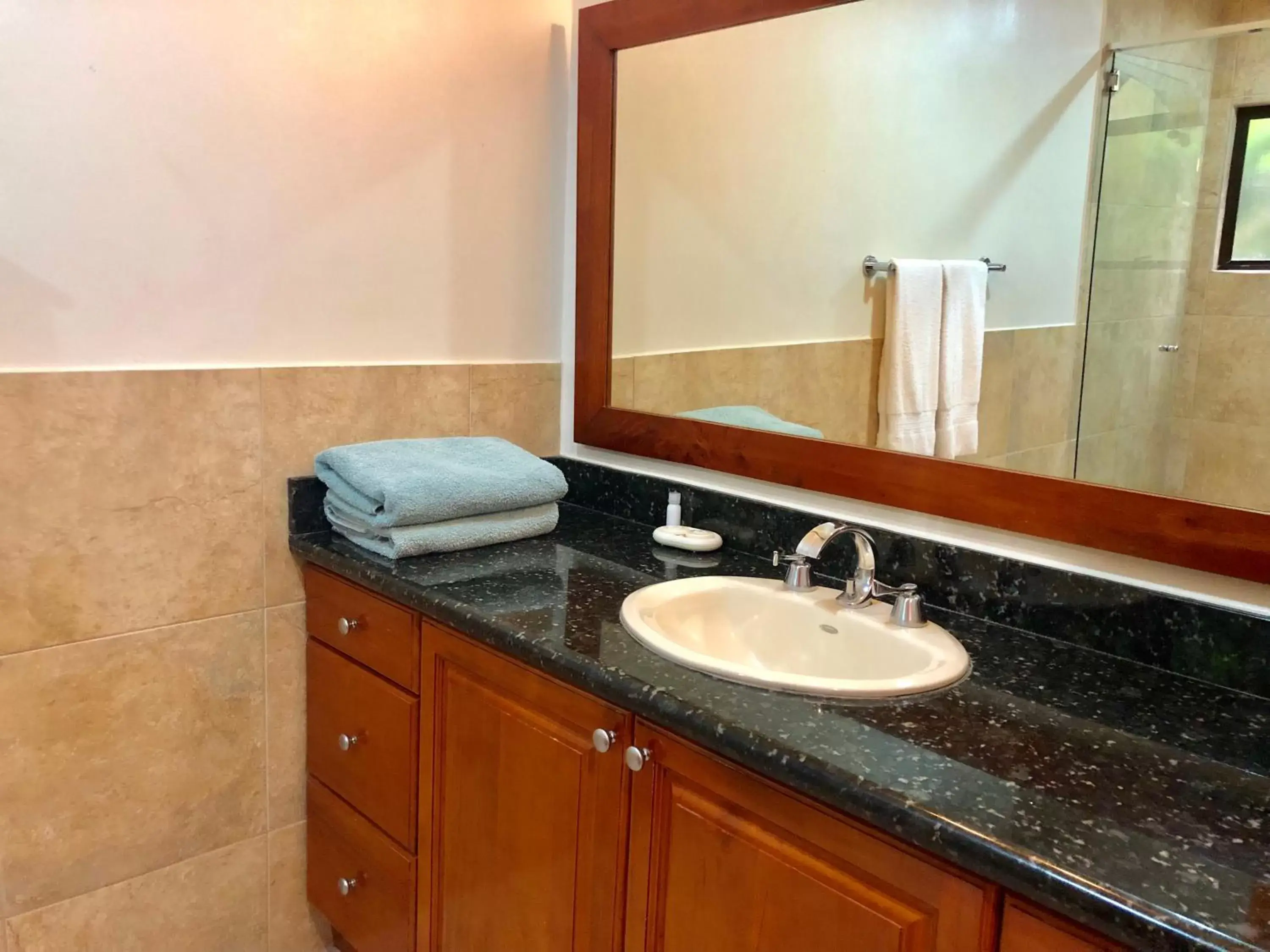 Bathroom in Monte Carlo Luxury Condominiums