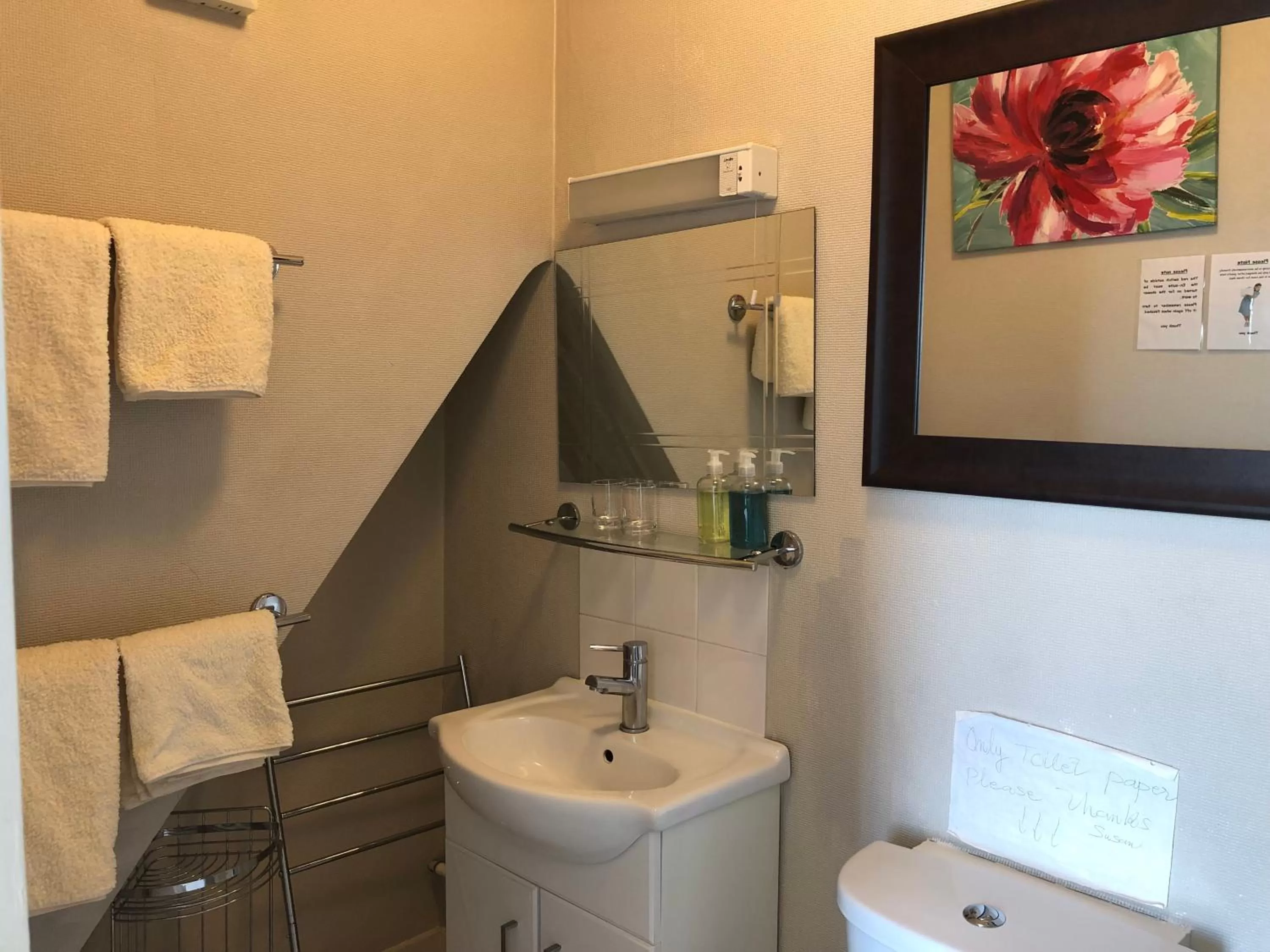 Toilet in Carena House