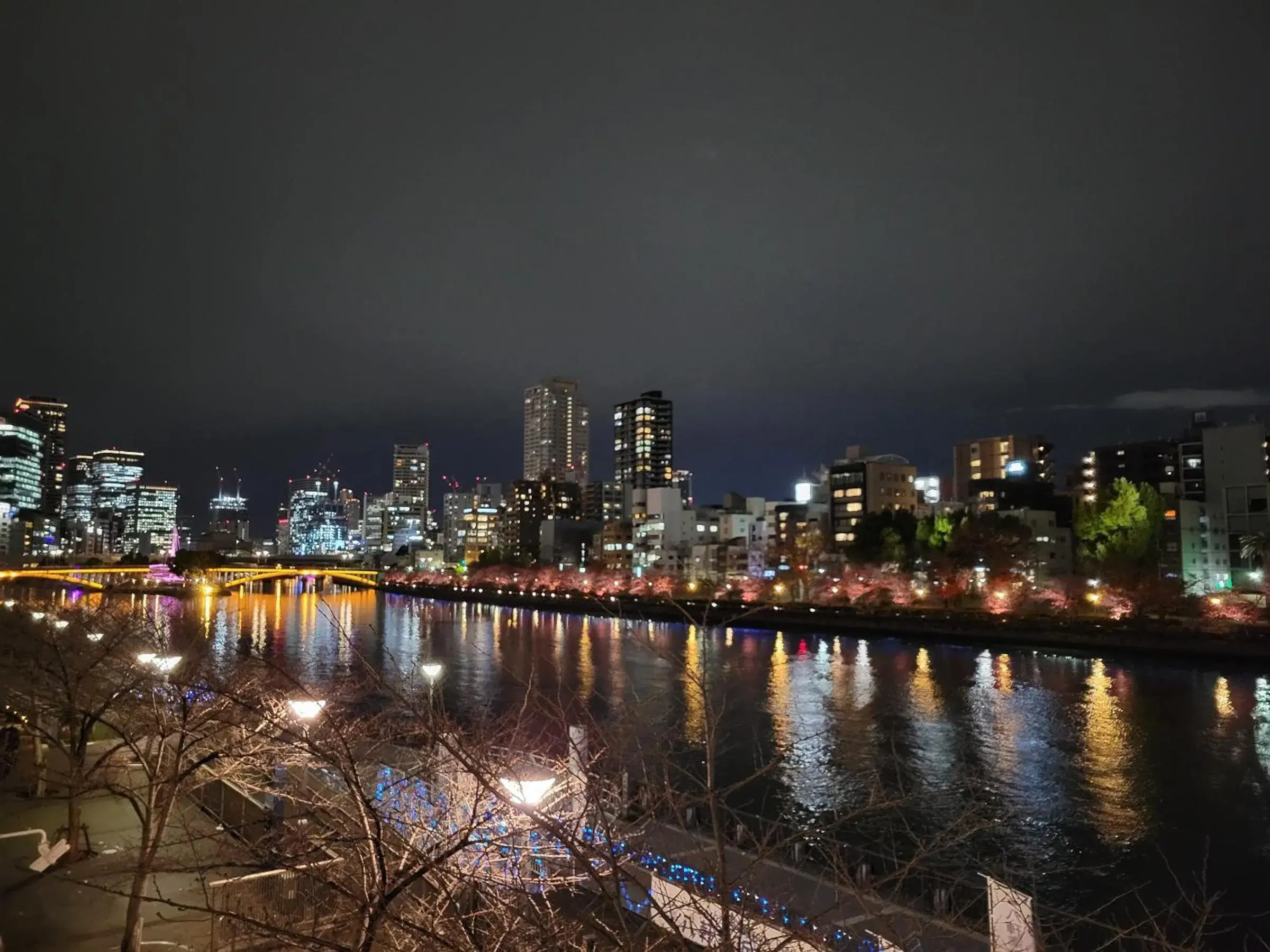 Hotel Osaka Castle