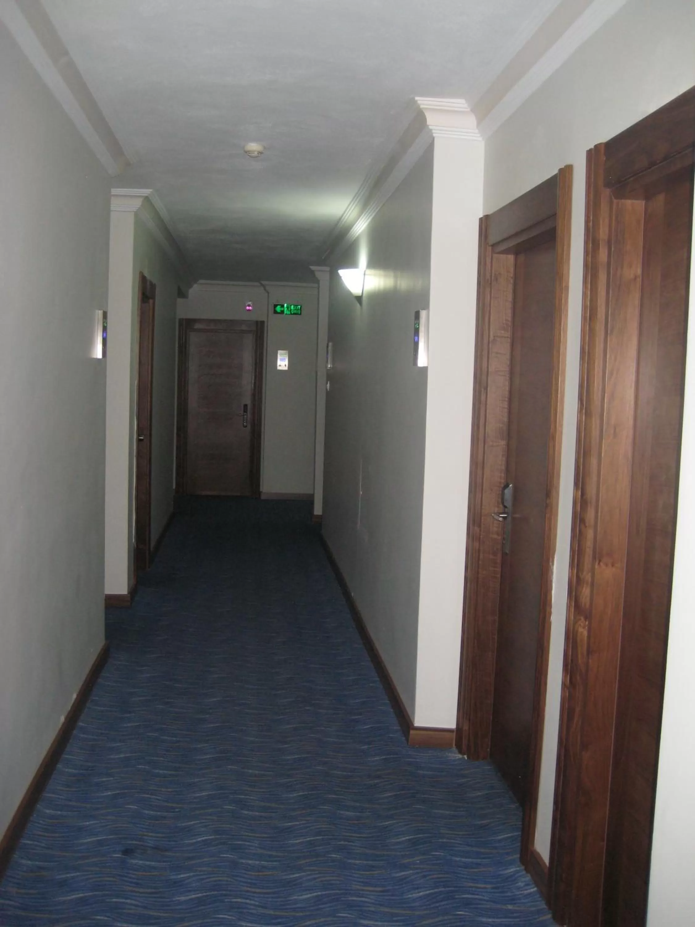 Decorative detail in Miroglu Hotel