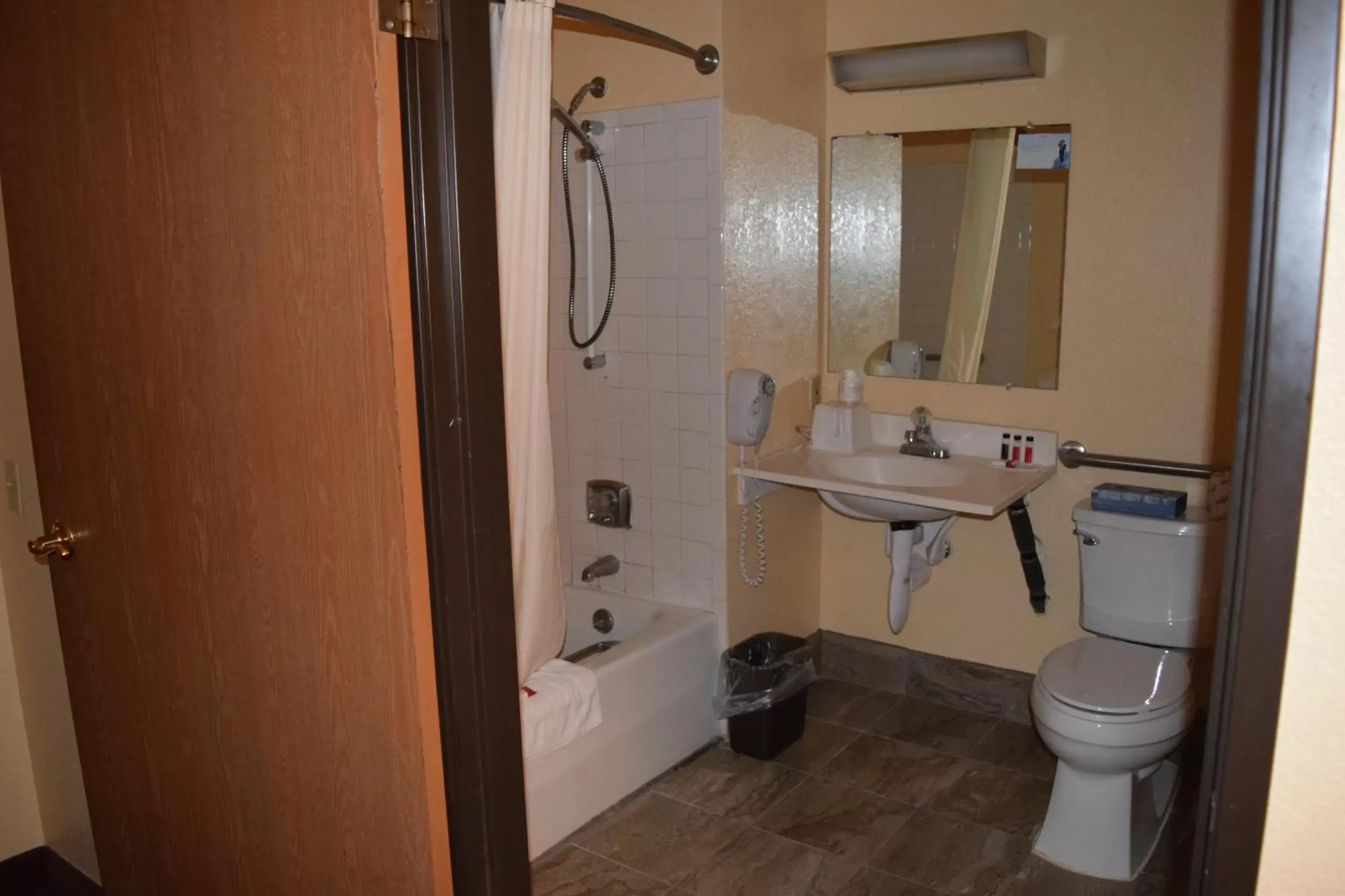 Bathroom in Super 8 by Wyndham Saginaw