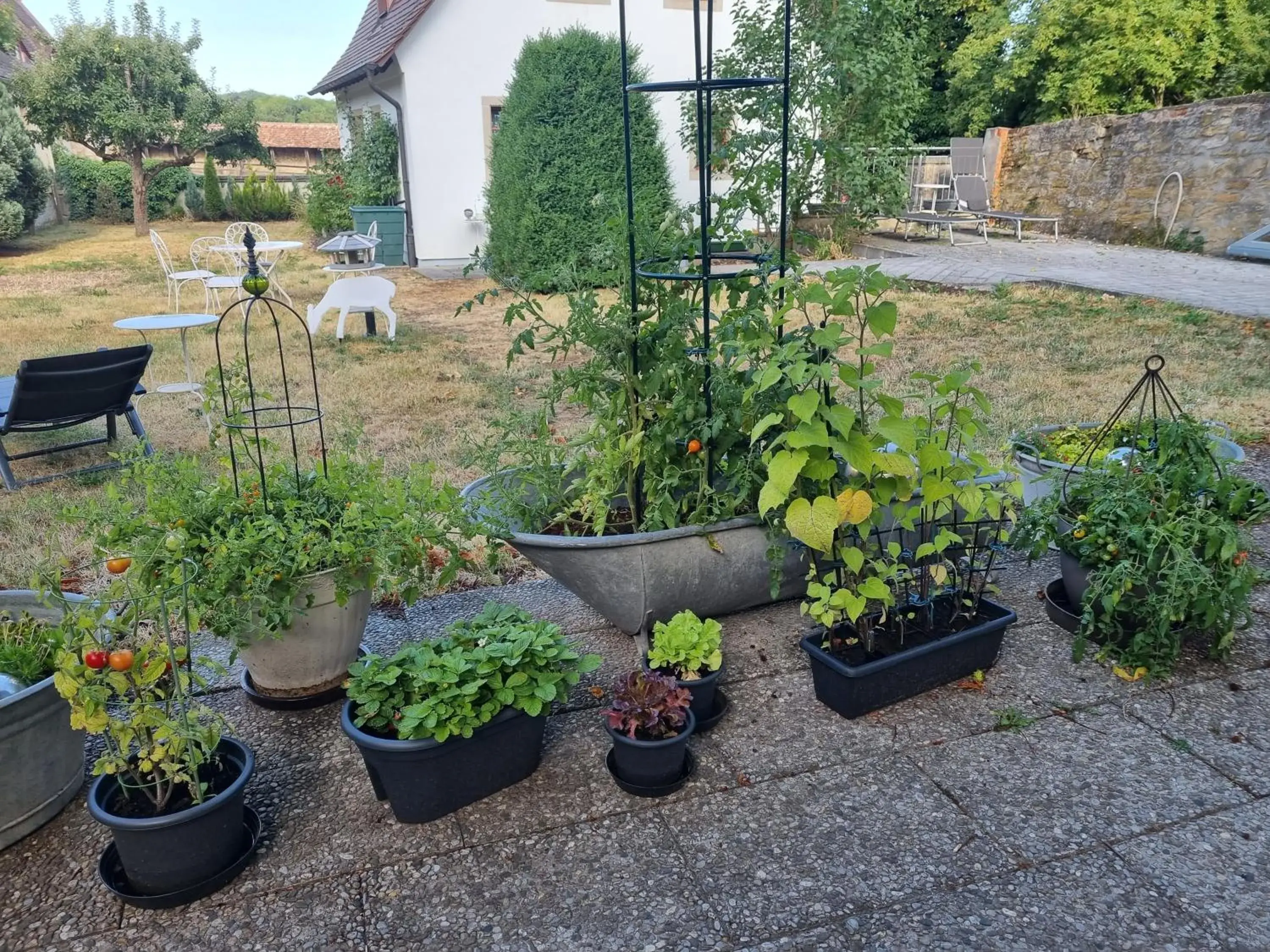 Garden in Boutiquehotel Goldene Rose