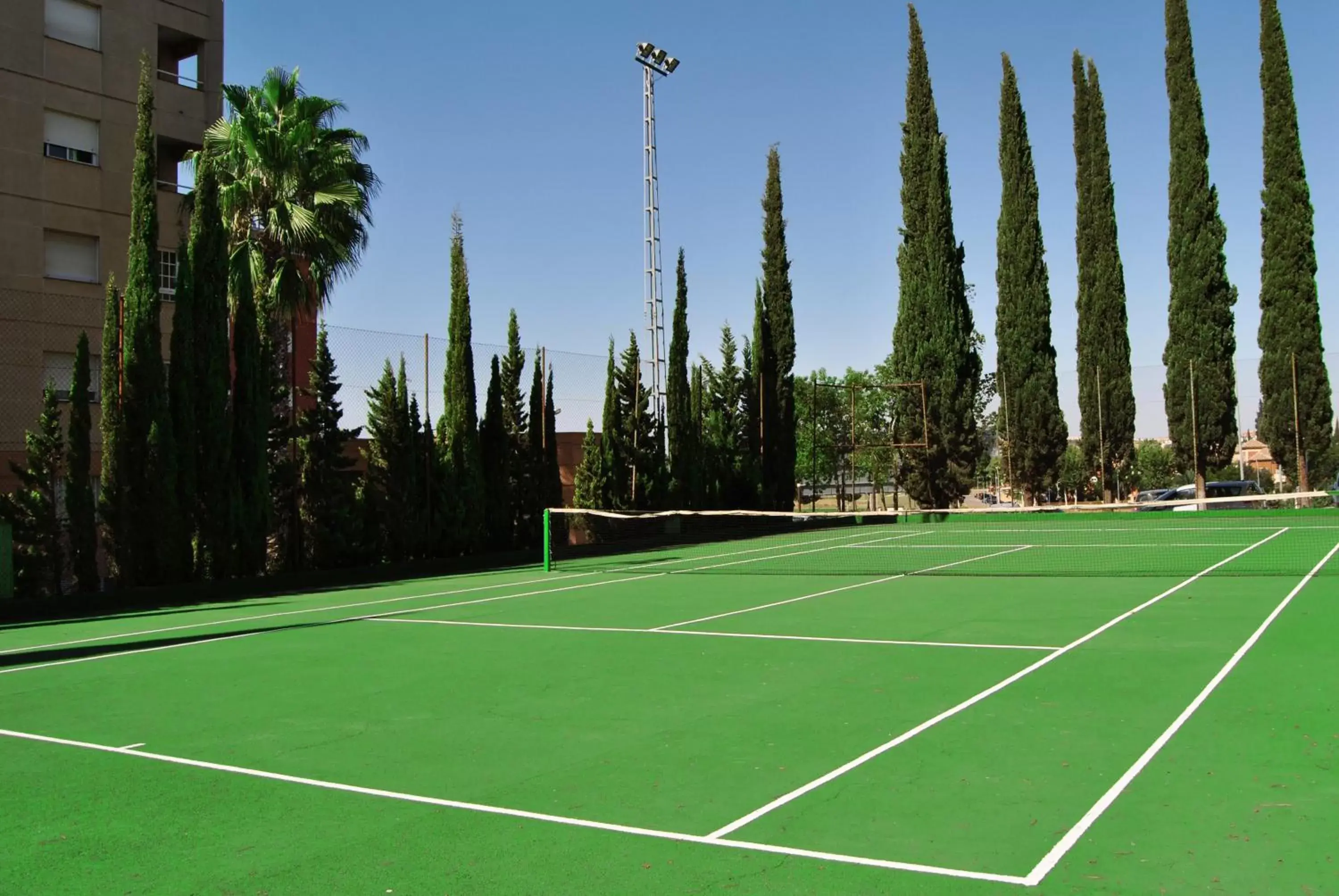 Tennis court, Tennis/Squash in Hotel TRH La Motilla