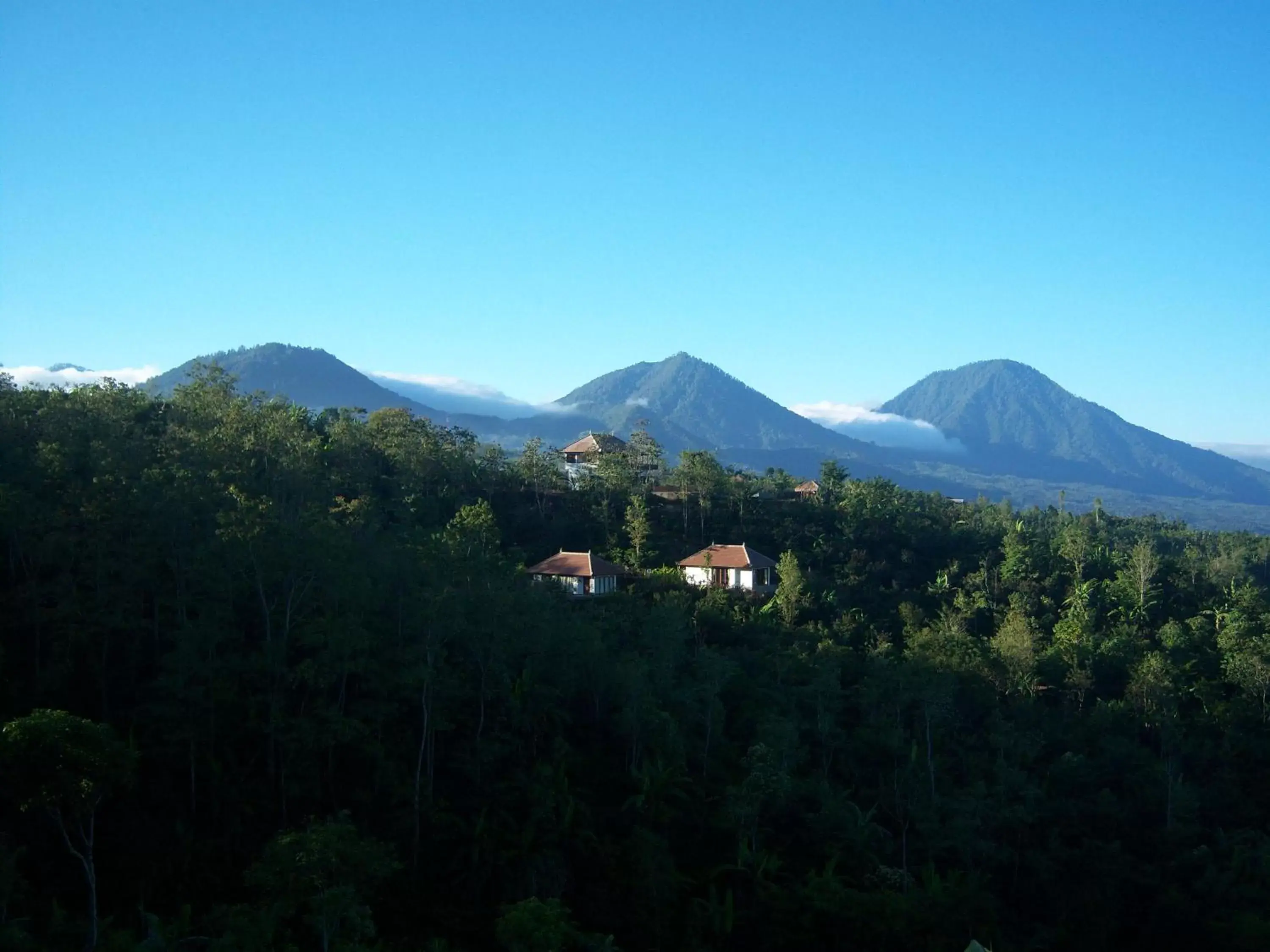 Mountain view in Munduk Moding Plantation Nature Resort & Spa