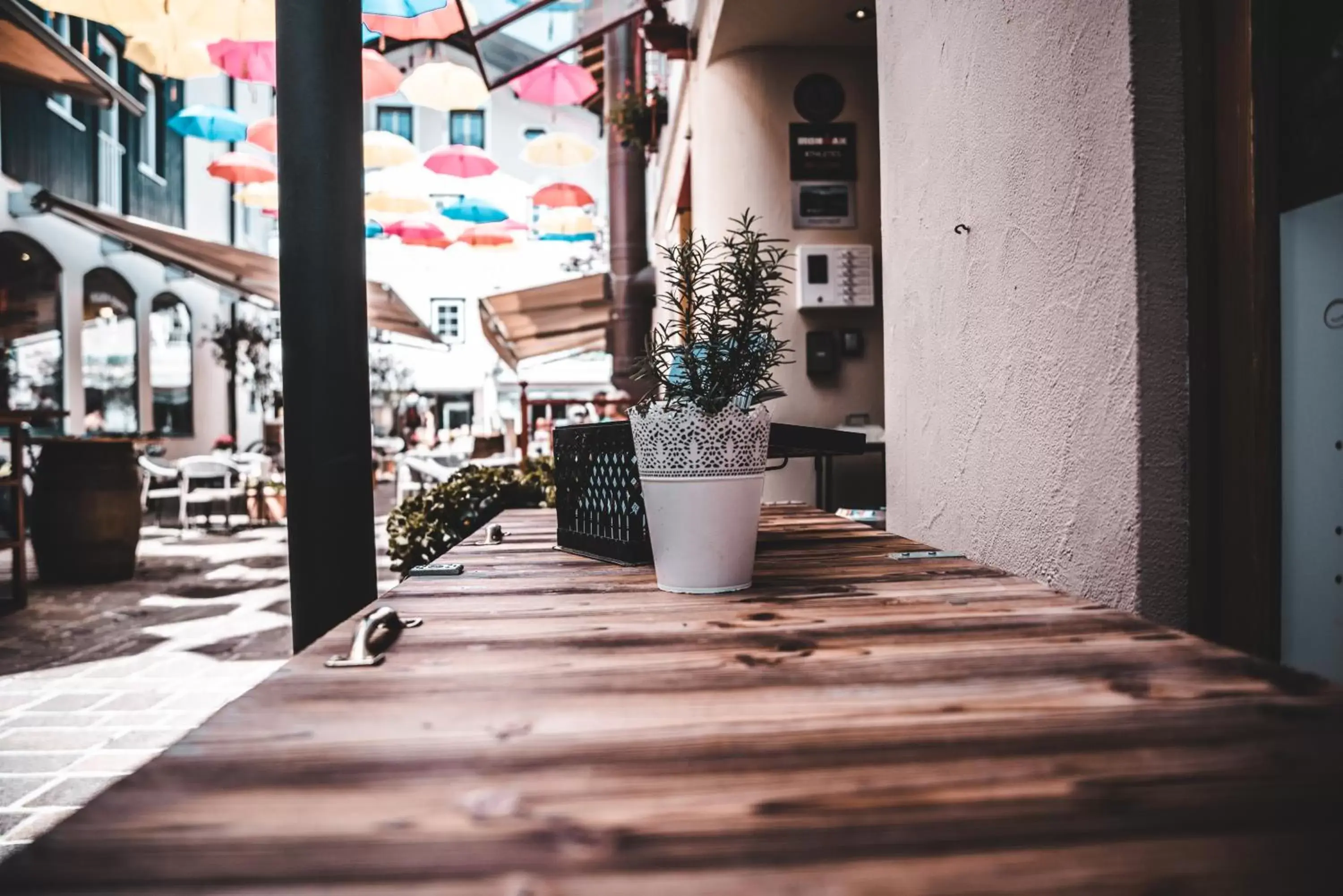 Patio in Cella Central Historic Boutique Hotel