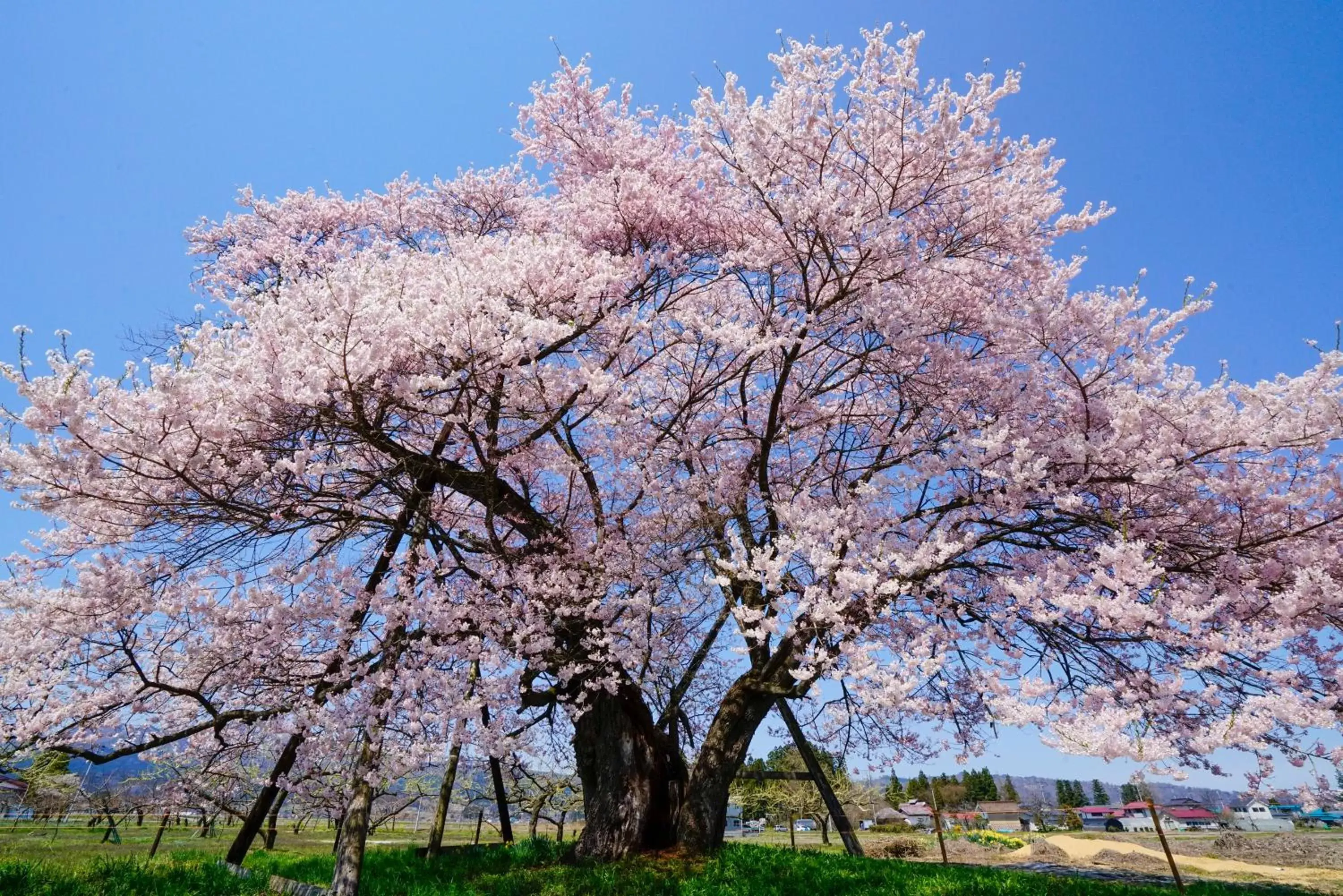 Nearby landmark, Winter in APA Hotel Fukushima Ekimae