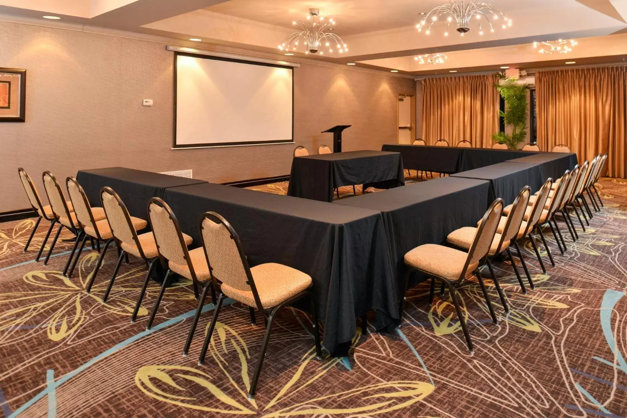 Meeting/conference room in Holiday Inn Express Hotel & Suites Dallas South - DeSoto, an IHG Hotel