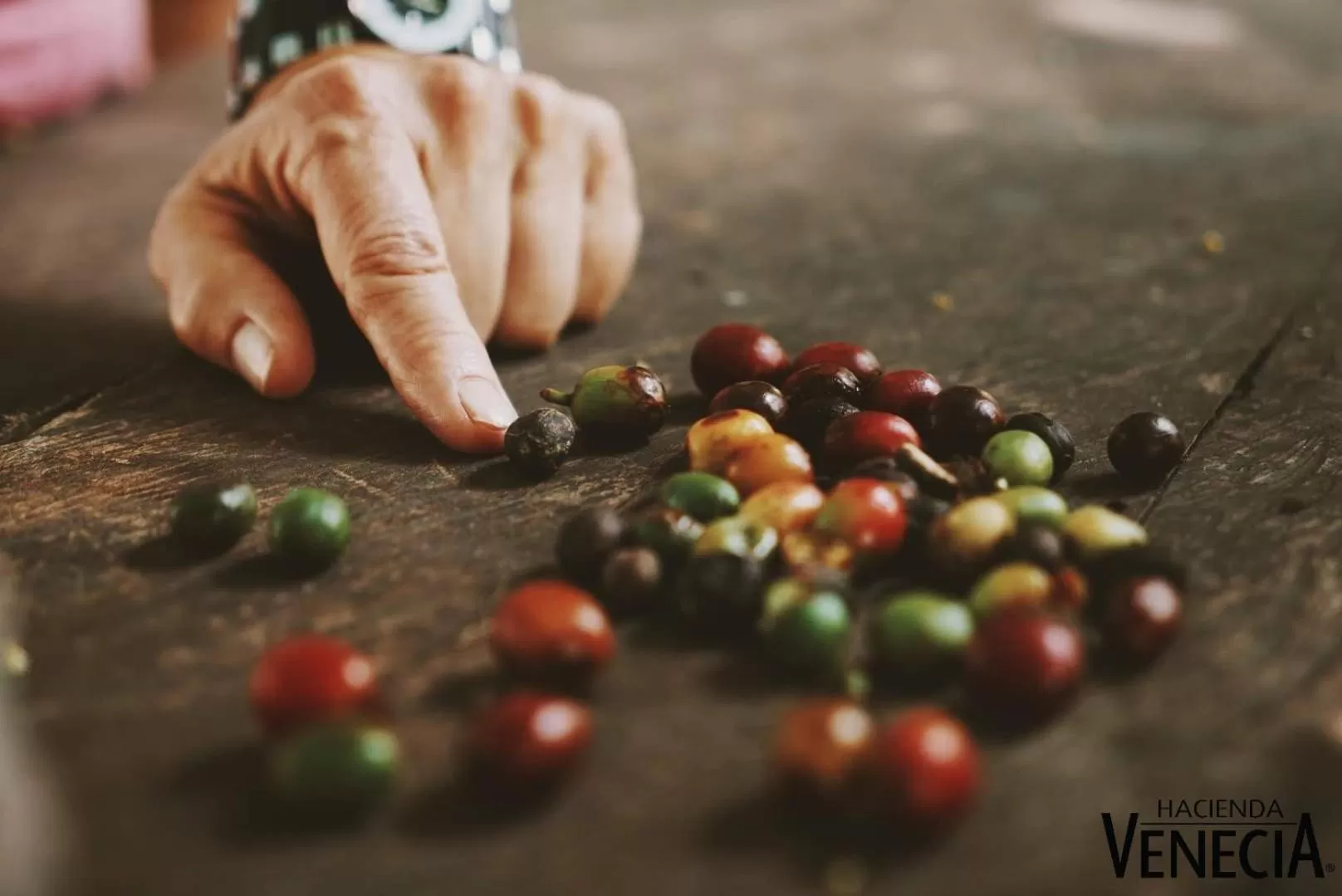 Activities in Hacienda Venecia Coffee Farm Hotel