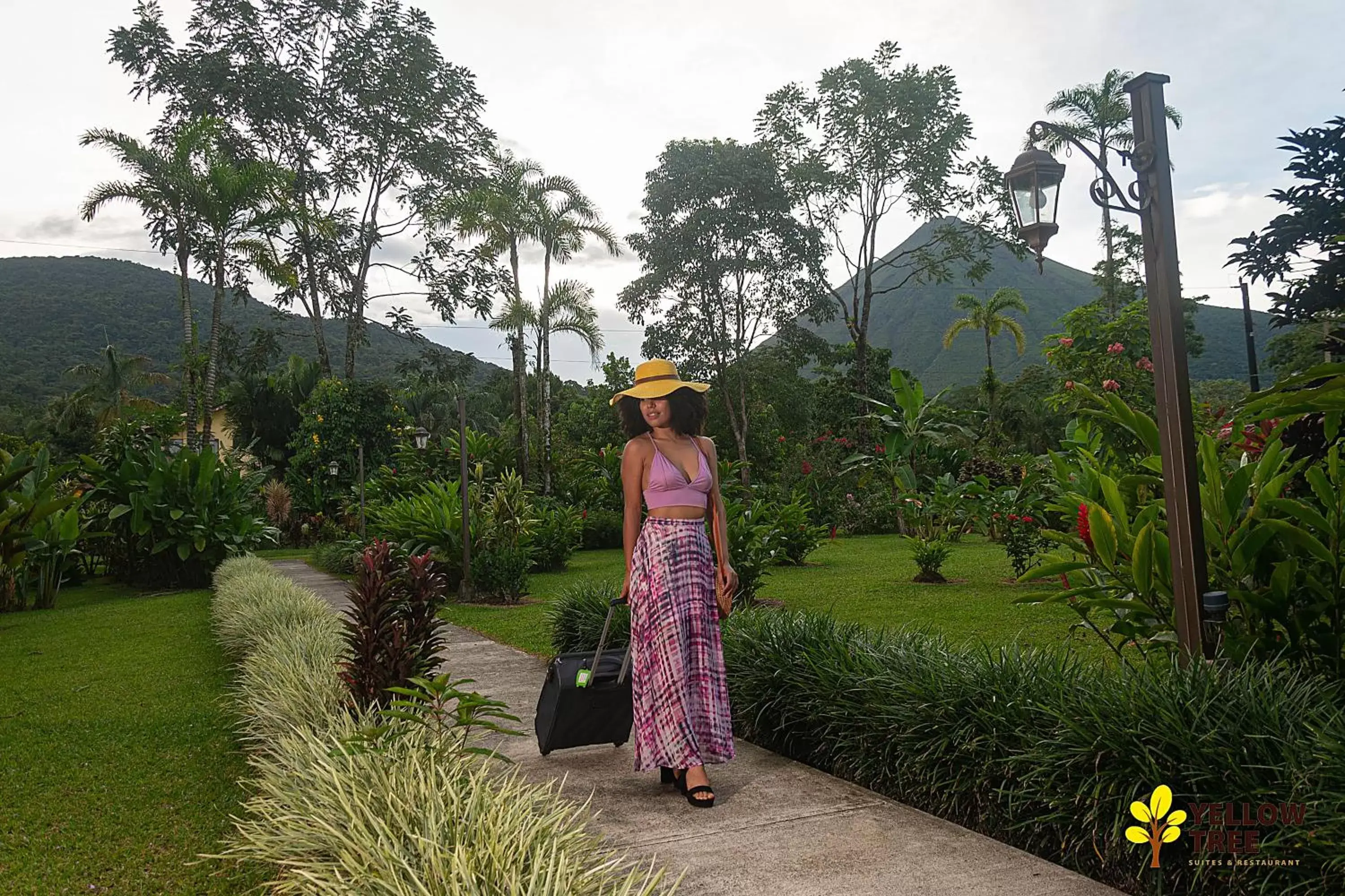 Garden in Yellow Tree Suites