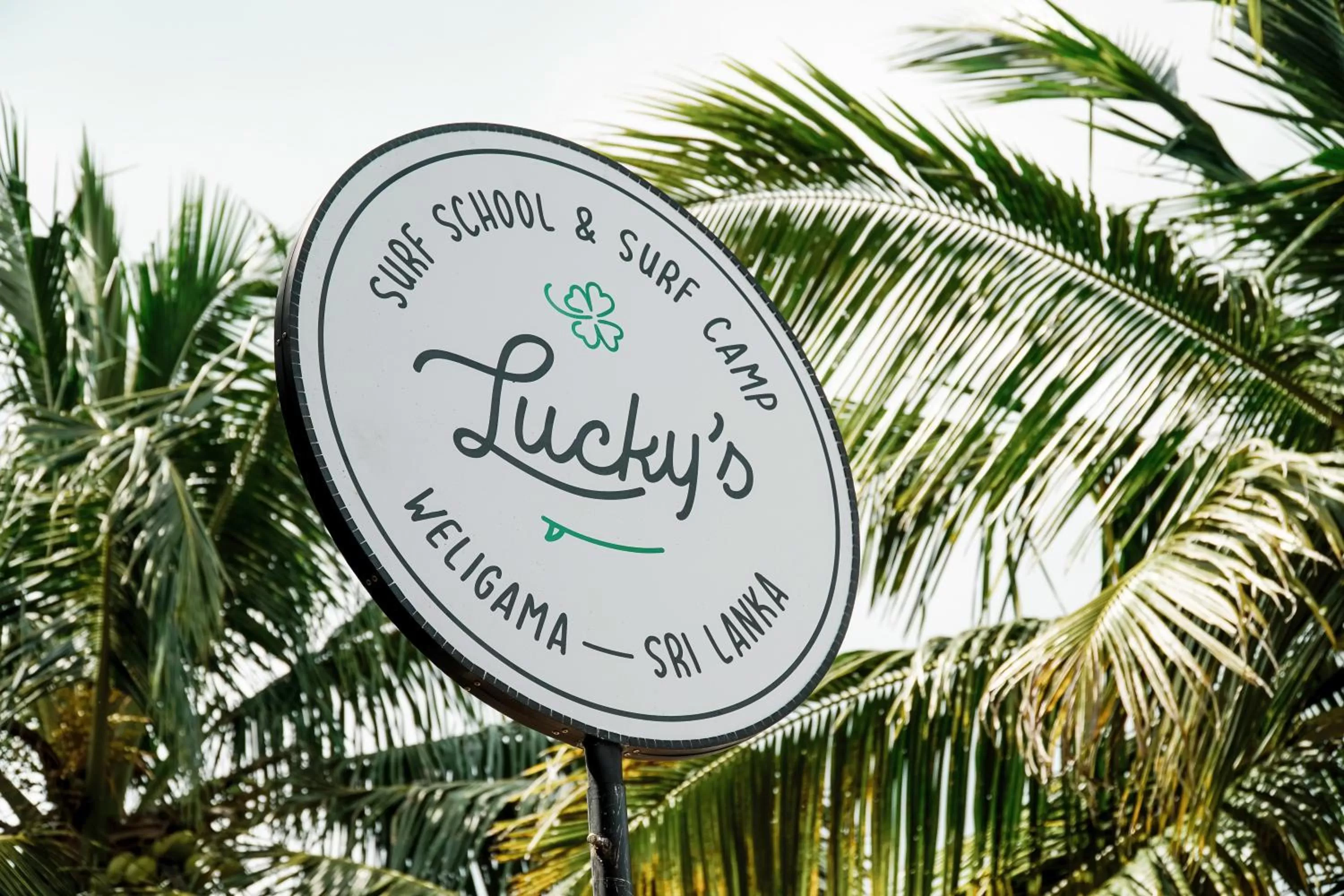 Property logo or sign in Lucky's Surf Camp