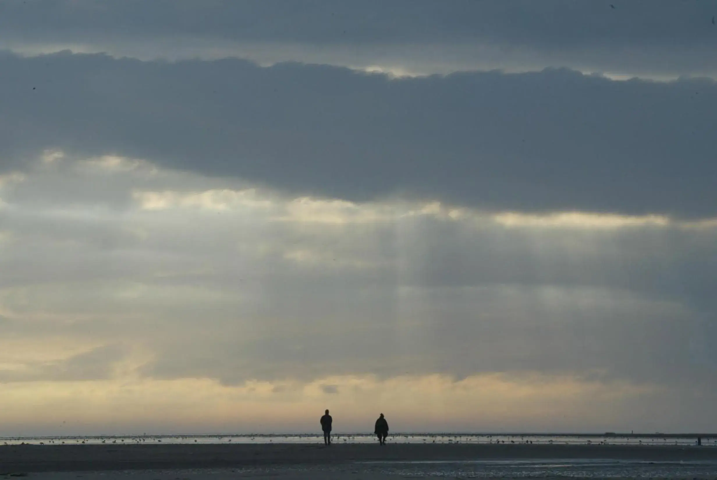 Area and facilities in Stayokay Terschelling