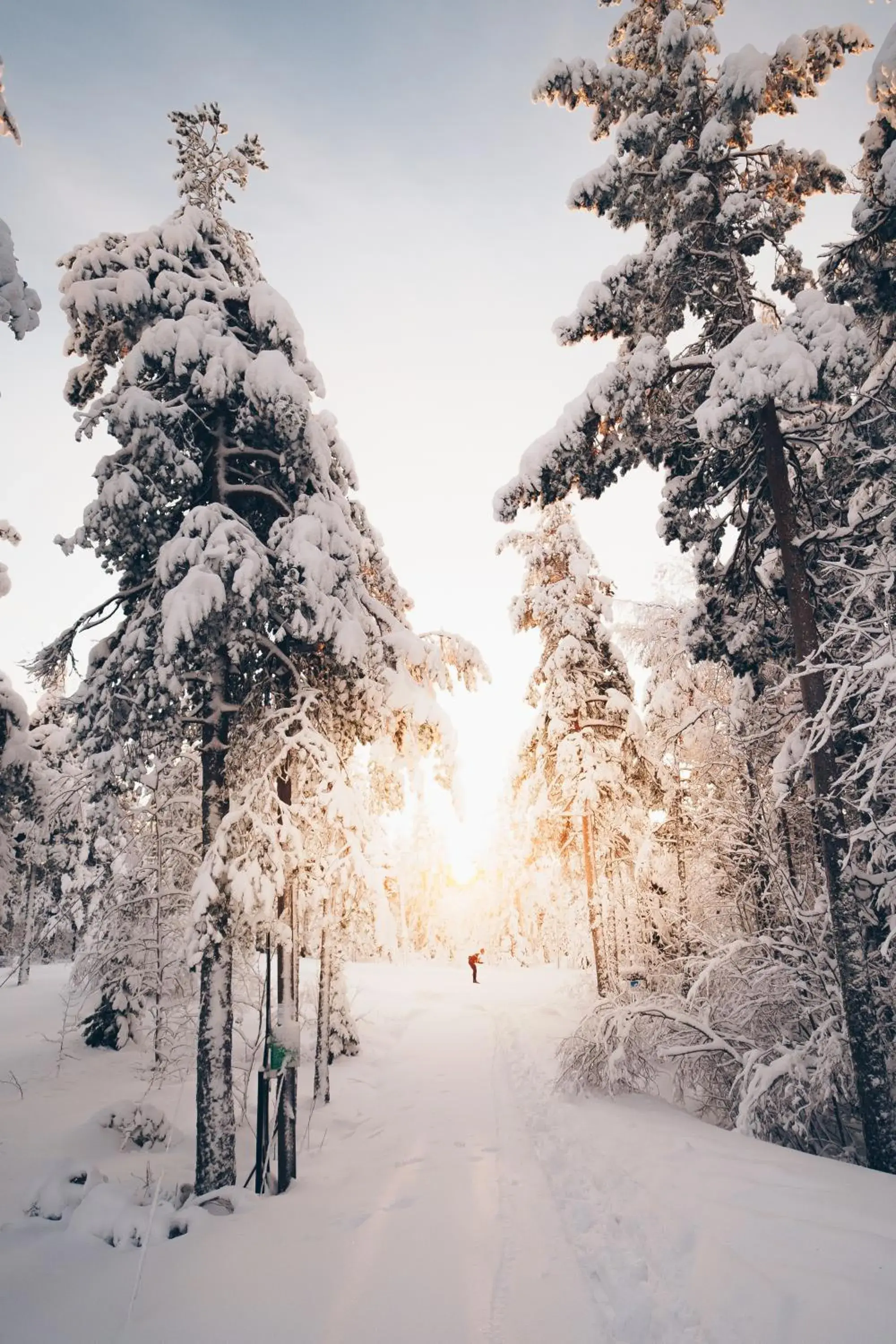 Skiing, Winter in Hotell Södra Berget