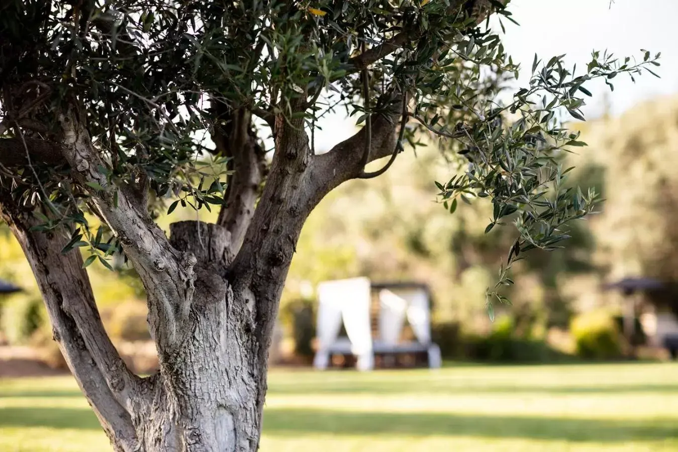 Garden in Vila Valverde Design Country Hotel