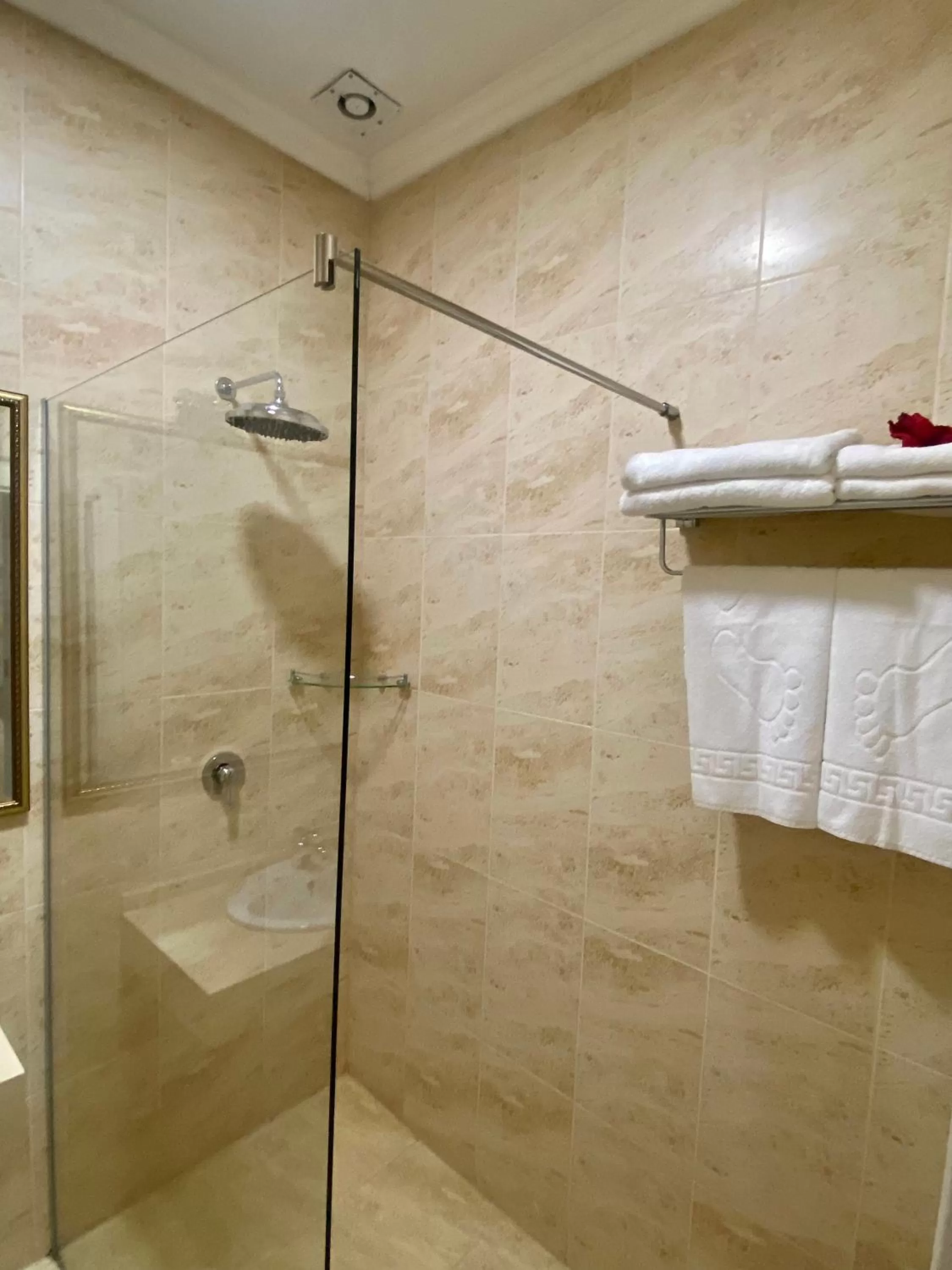 Shower in Boutique Hotel Deluxe