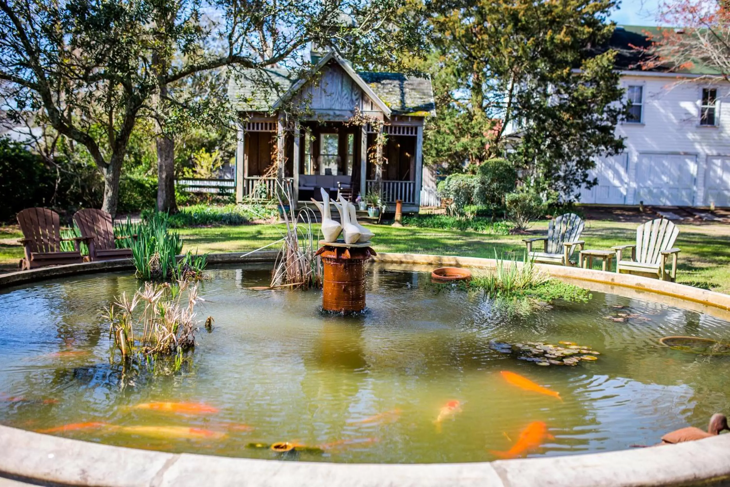 Natural landscape in Roanoke Island Inn