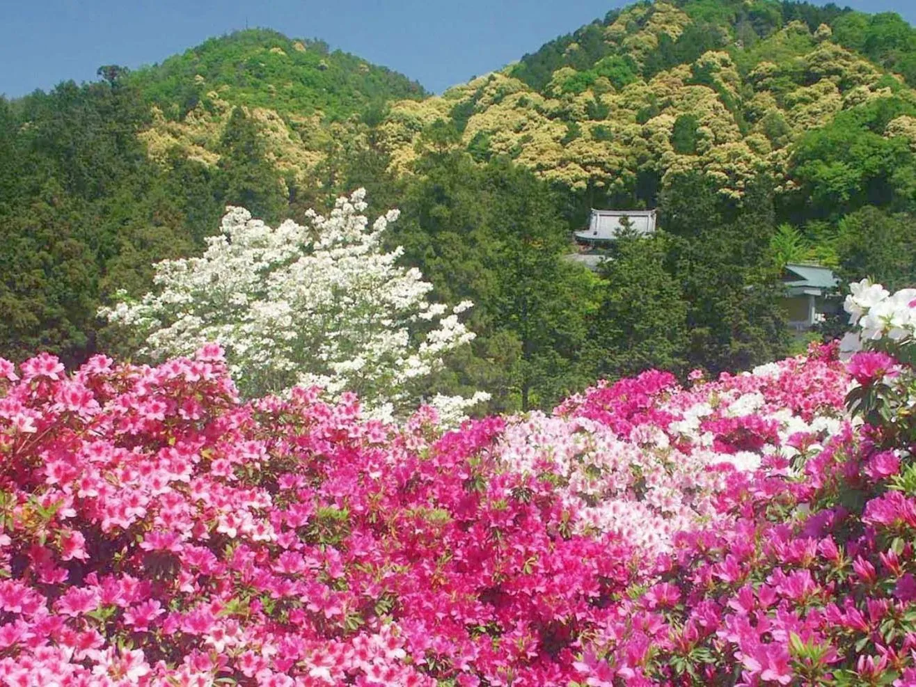 Off site in Hanayashiki Ukifune-en