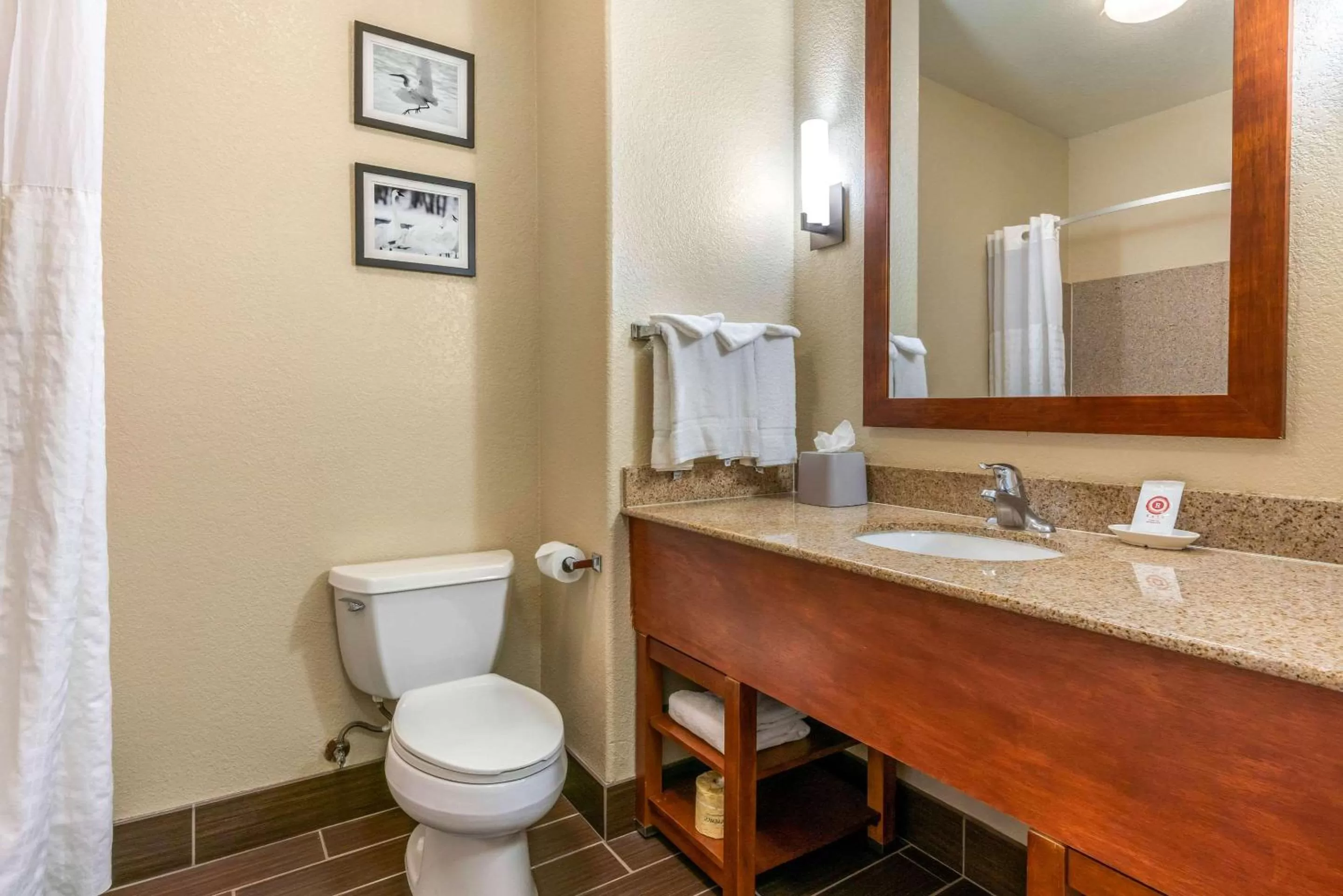Bathroom in Comfort Inn & Suites Galt - Lodi North