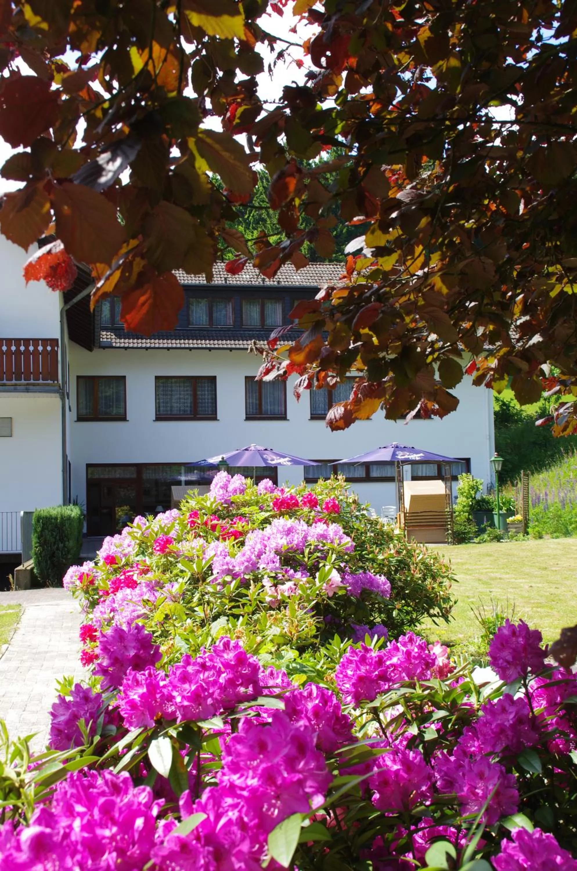 Spring in Hotel Herrenrest