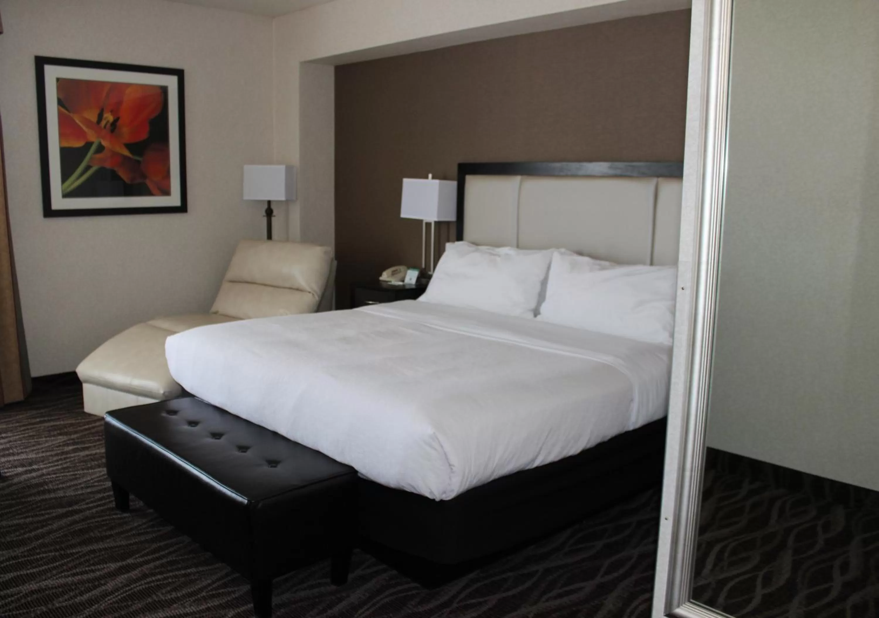 Photo of the whole room, Bed in Holiday Inn Des Moines-Airport Conf Center by IHG