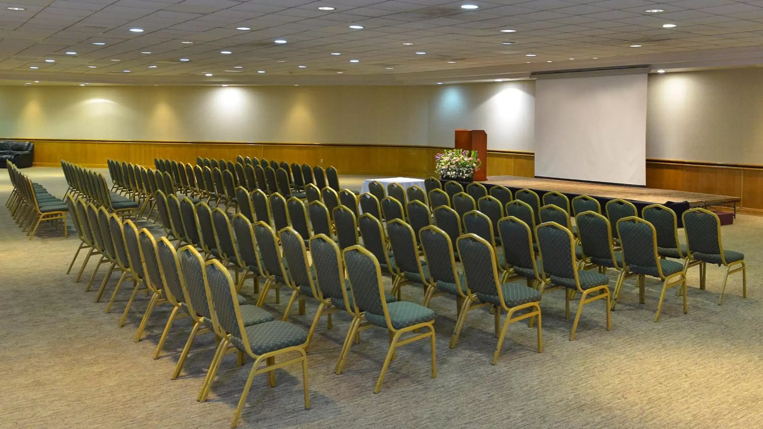 Meeting/conference room in Holiday Inn Morelia, an IHG Hotel