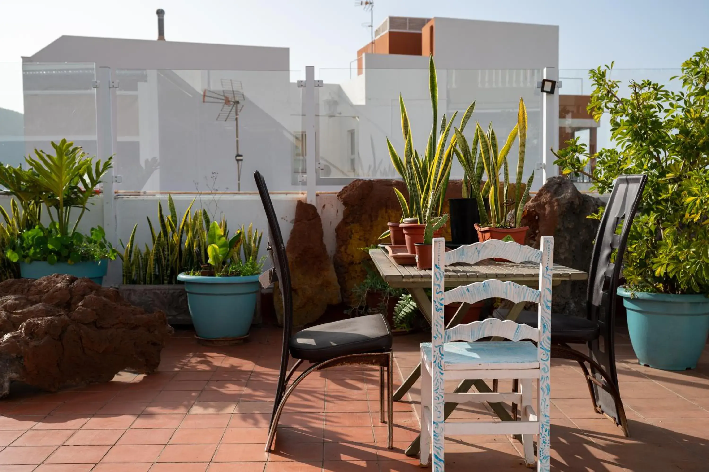 Patio in Drago Hostel