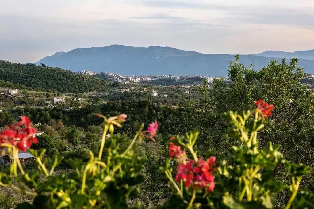 Mountain View in Casale San Pietro