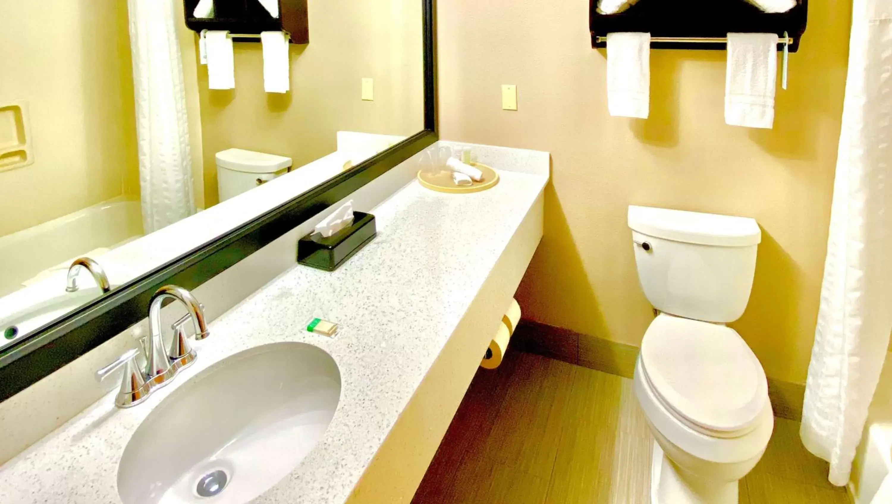 Bathroom in SureStay Plus Hotel by Best Western Plano