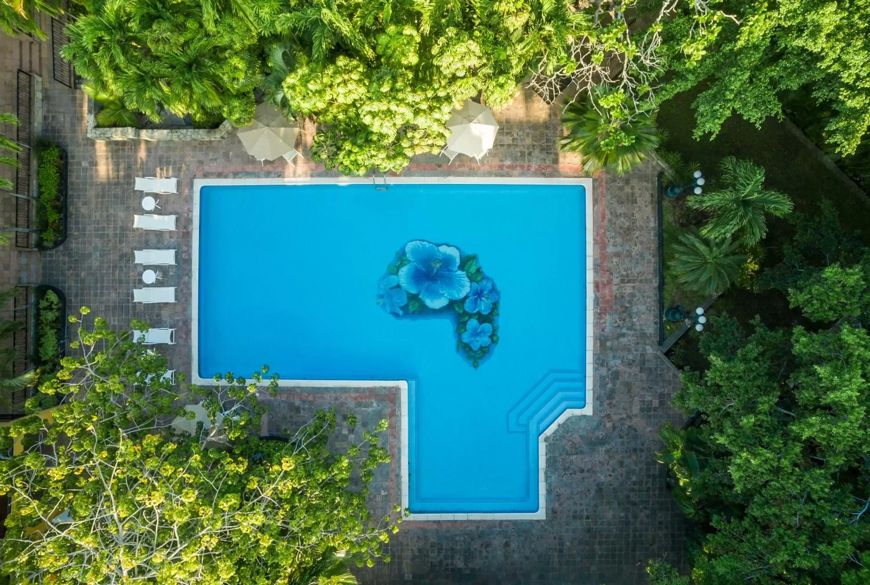 Swimming pool, Pool View in HS HOTSSON Hotel Tampico