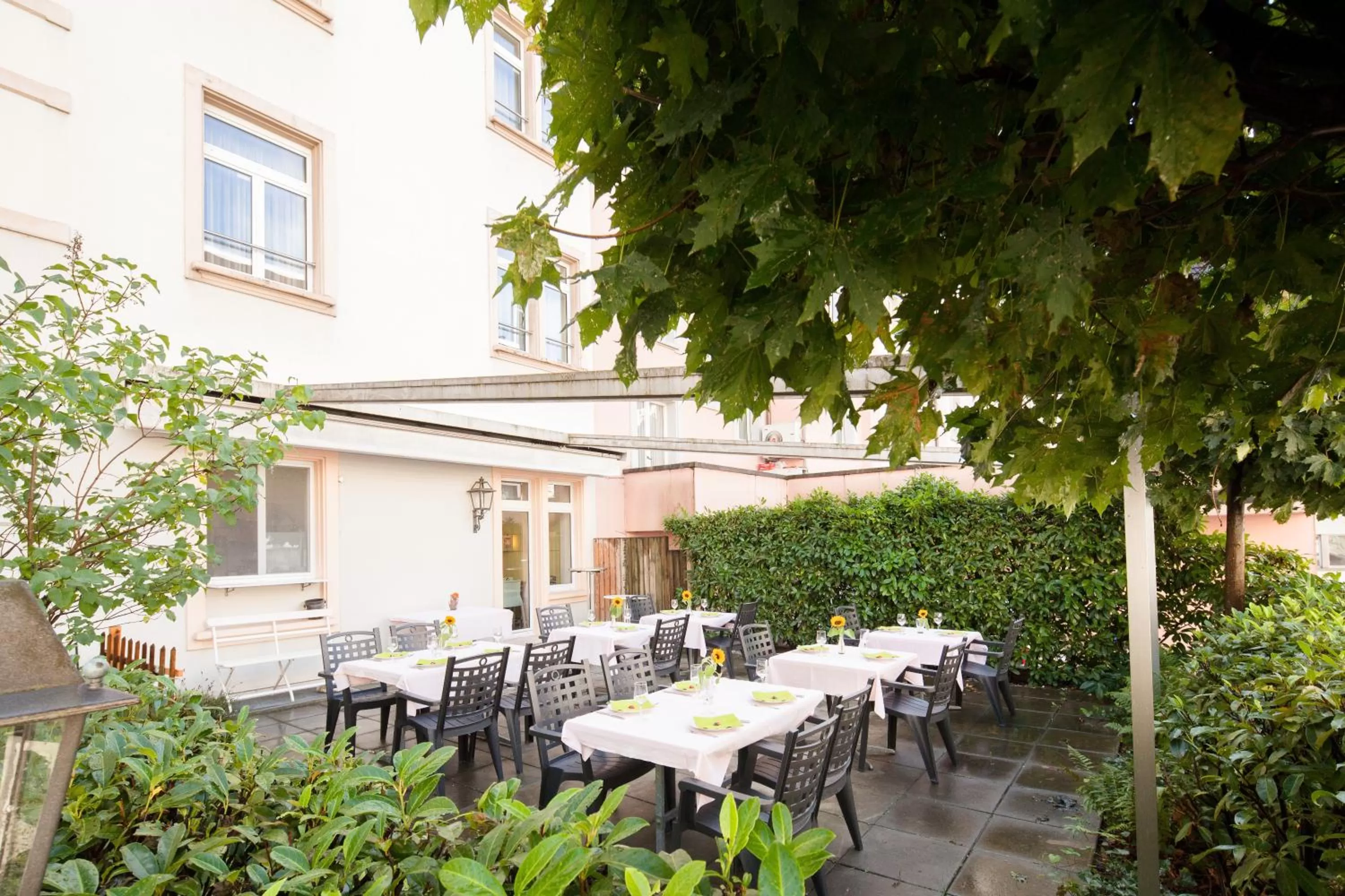 Balcony/Terrace in Hotel Ambassador