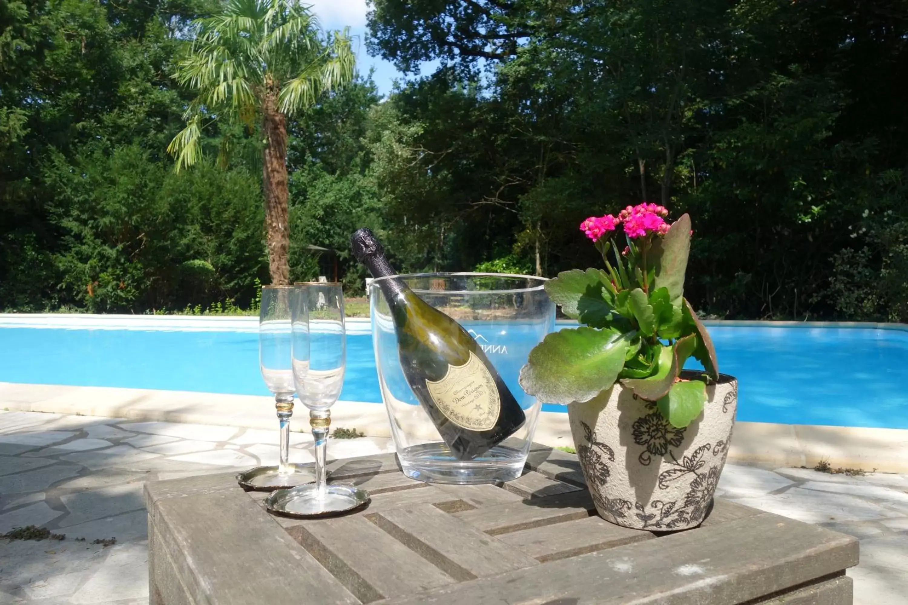 Swimming Pool in Domaine de Rasigous